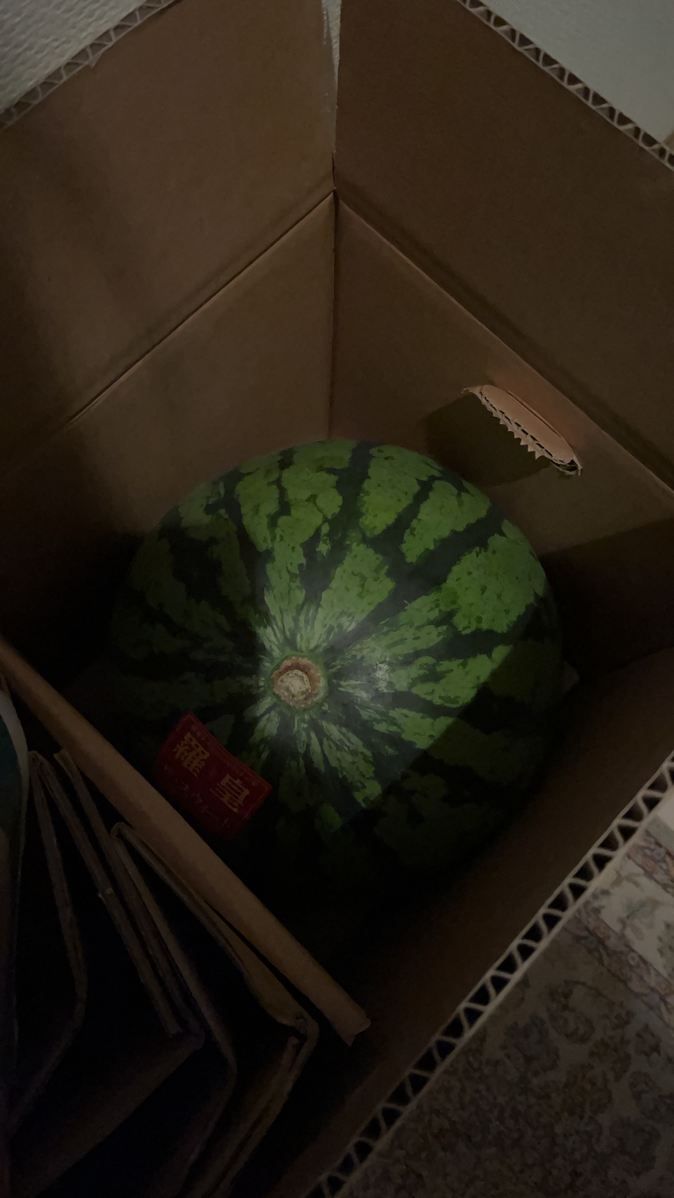 ２玉同梱、ブラック３kg・羅皇６㎏・ ブラックと羅皇のセット・のあっち 2玉同梱、ブラック3kg・羅皇6㎏・ ブラックと羅皇のセット・