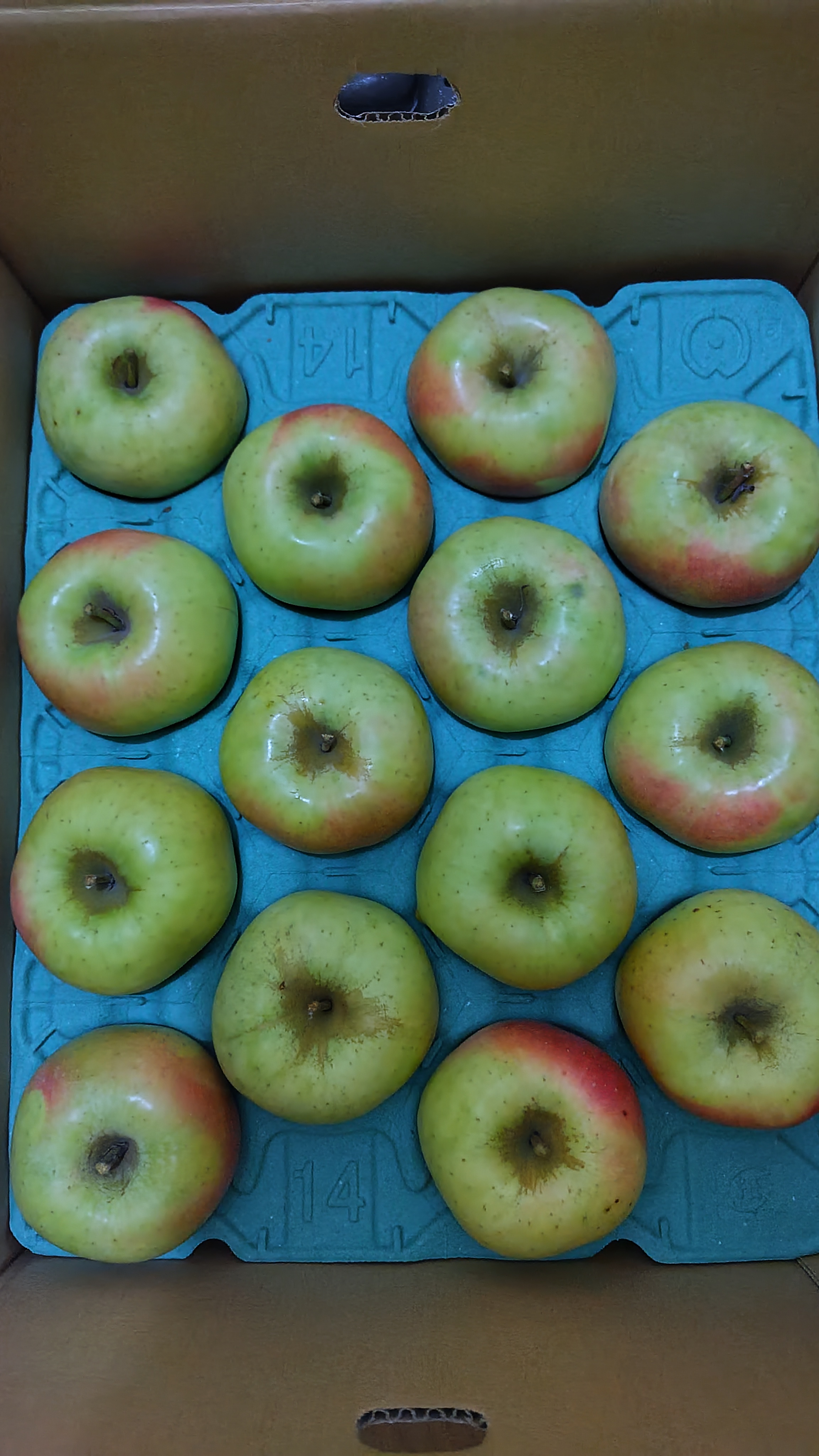 りんご ぐんま名月 大玉 10kg | 果物/りんご 産直アウル 農家から直接