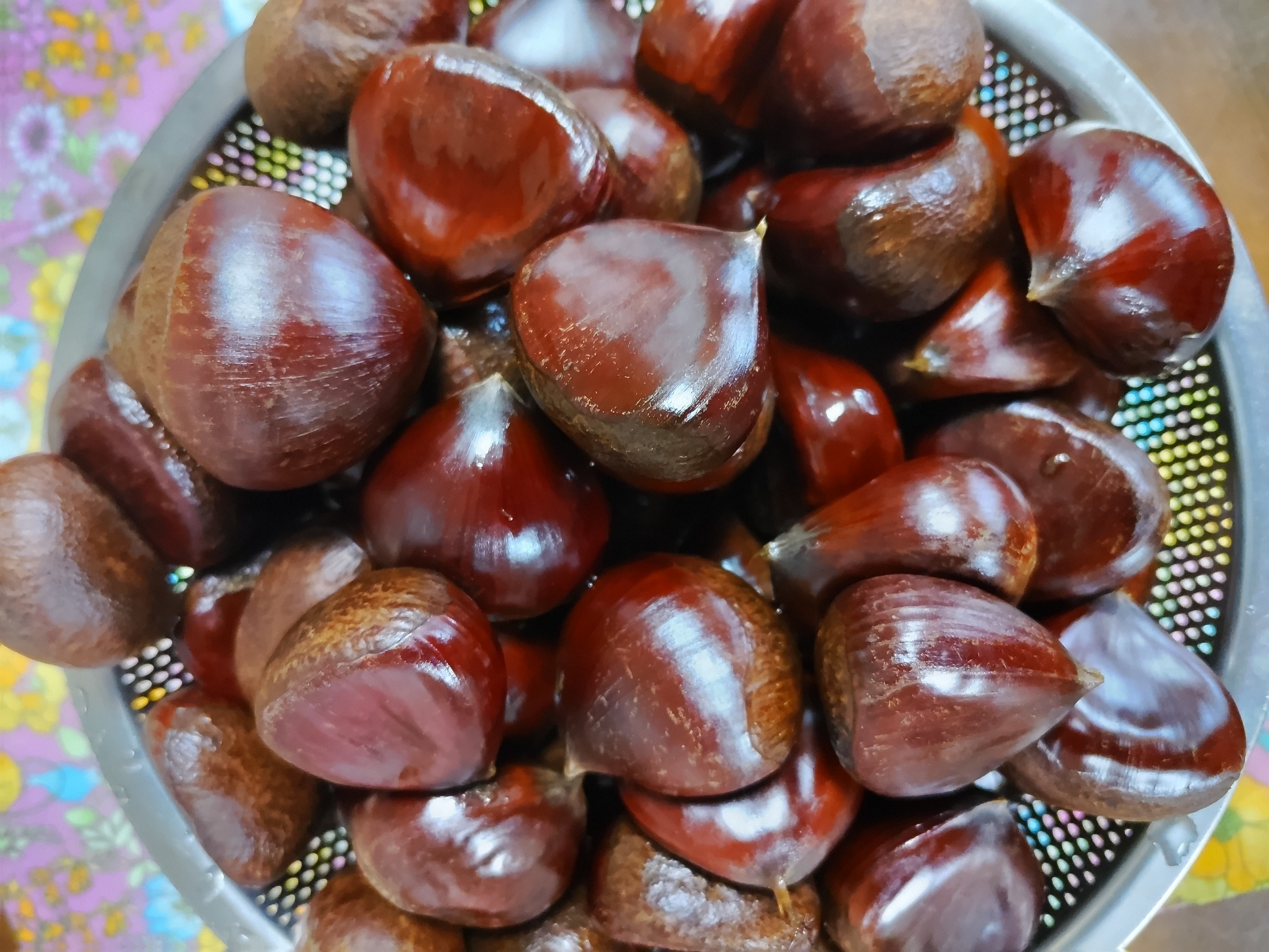 茨城のうまい栗（紫峰）約2kg／Lサイズ | 果物/栗 産直アウル 農家から