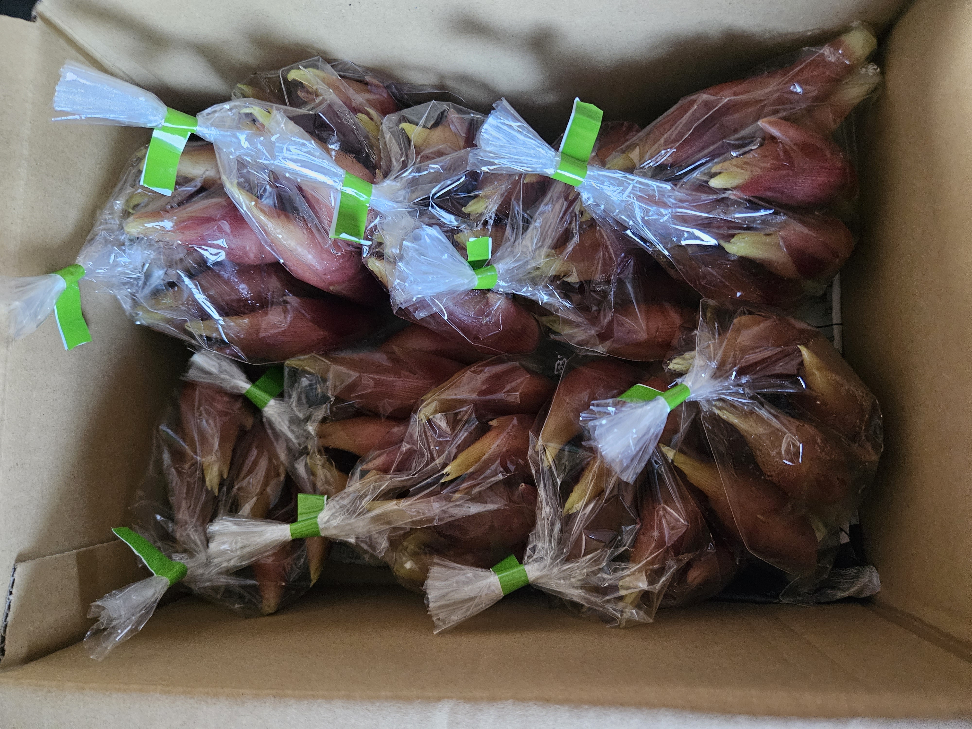 みょうが竹 7本パック ｜ 野菜/薬味 産直アウル 農家・漁師など生産者