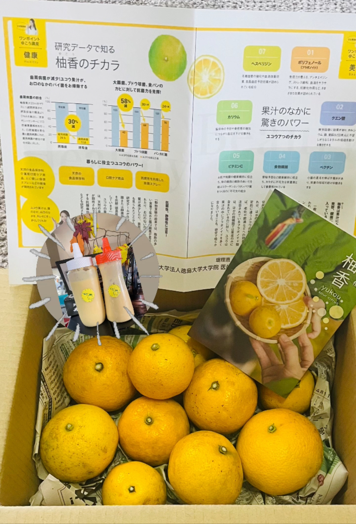 徳島県産⭐️幻の柑橘 ゆこう★たっぷり7kg♪ 幻の柑橘『ゆこう』｜いろどり 上勝