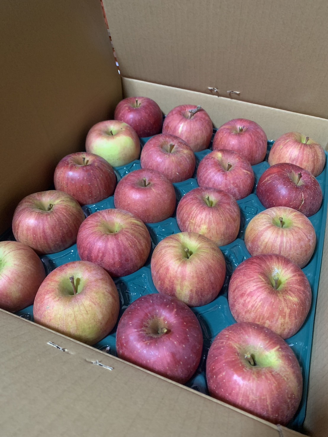 先行予約❗️まとめ買い家庭用シャインマスカット5キロ以上8-12房  