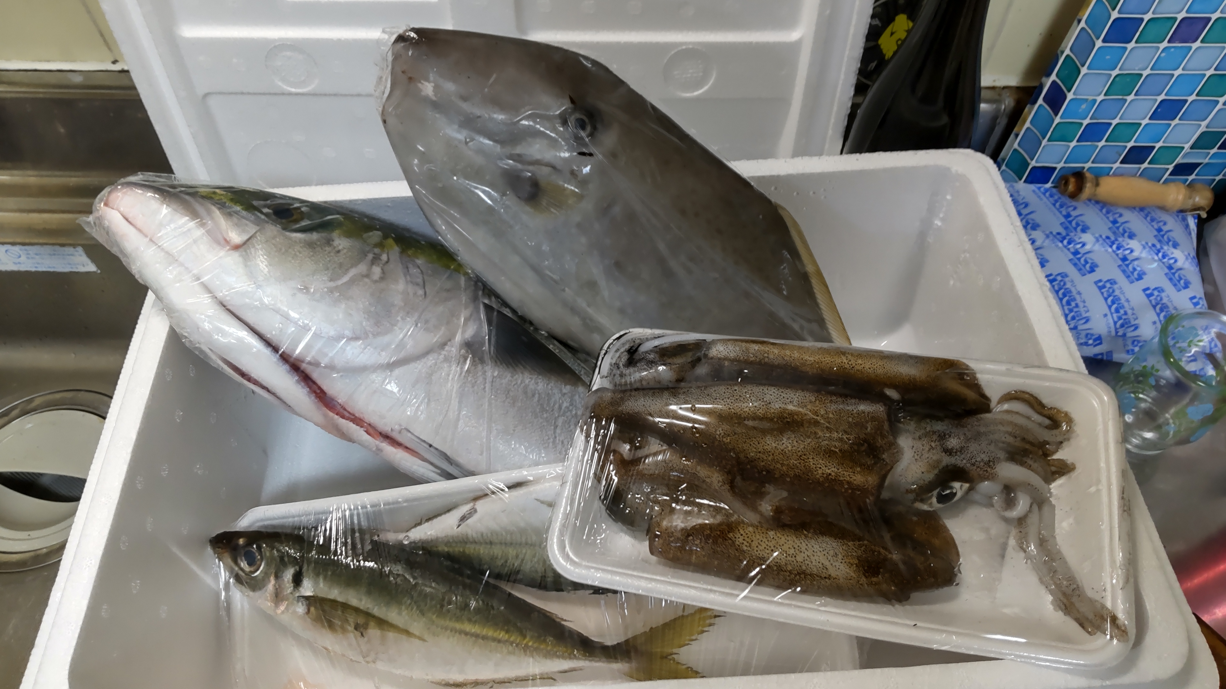 小野水産養殖とらふぐみがき ｜ 魚介類/フグ 産直アウル 農家・漁師 