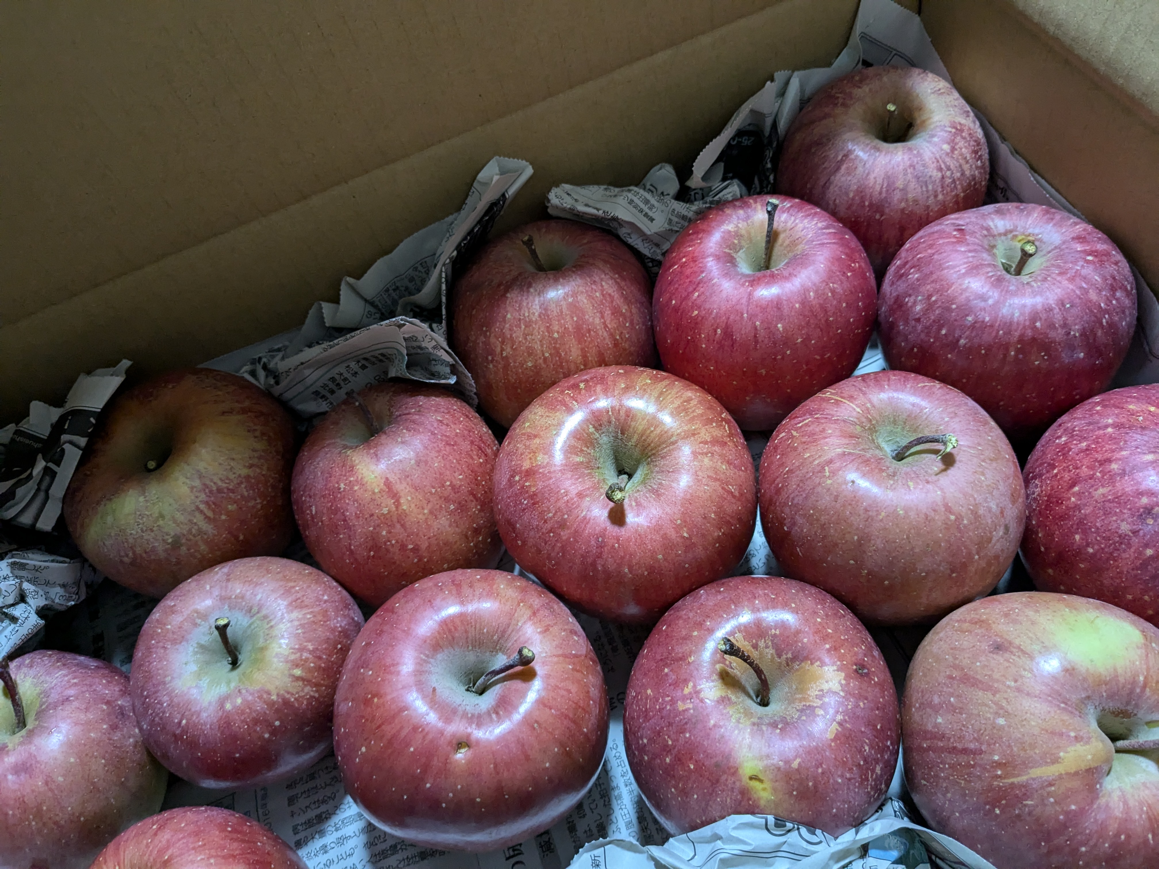 訳ありサンふじ】約5キロご家庭用 りんごといえばやっぱりこれ