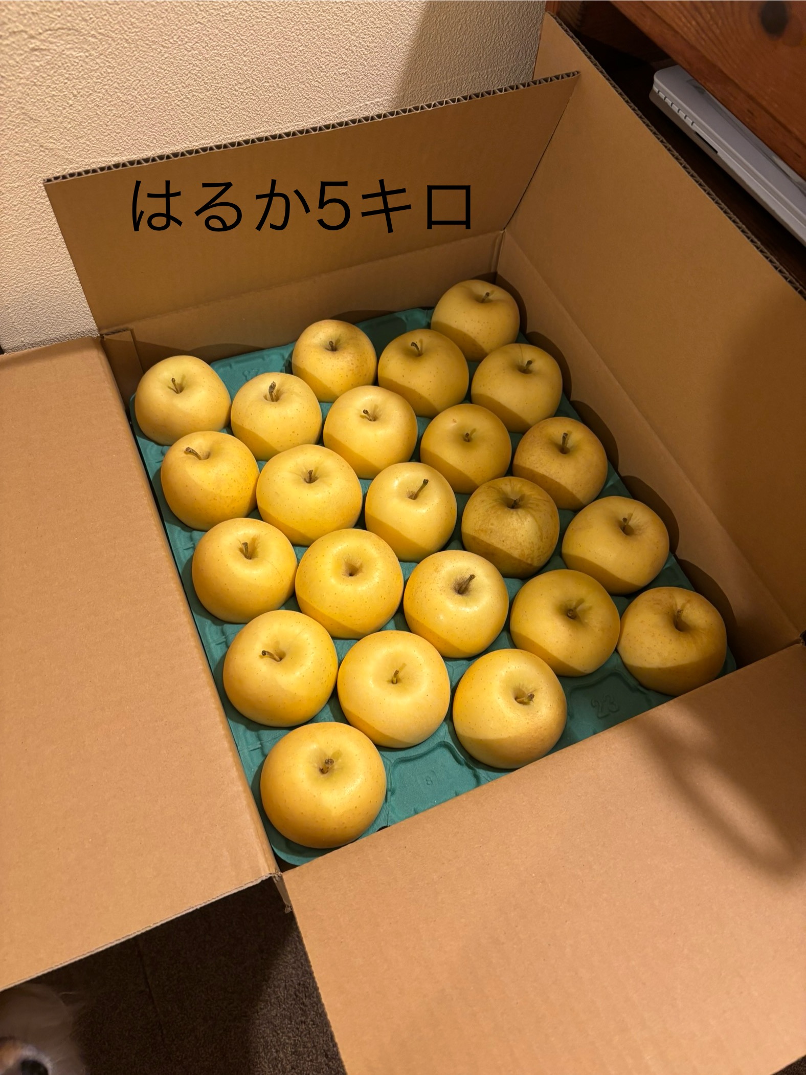 限定出品 はるかご家庭用約5キロ ｜ 果物/りんご 産直アウル 農家 