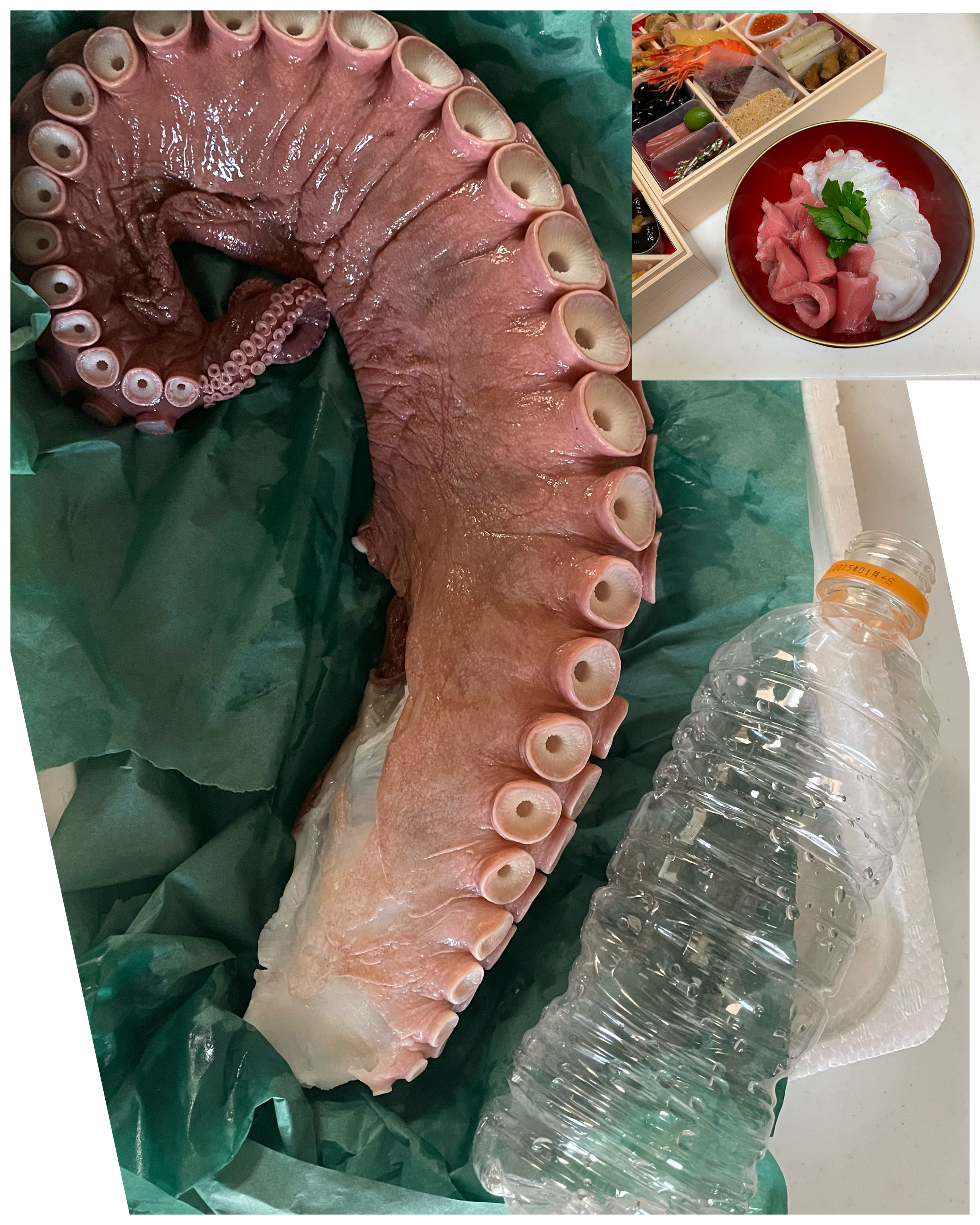 北海道産浜茹でタコ足1.2キロ ｜ 魚介類/タコ 産直アウル 農家・漁師