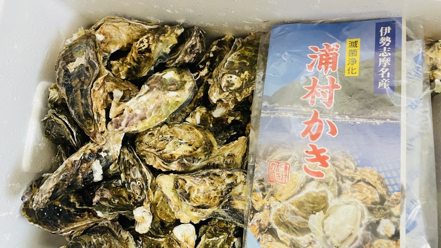 三重県産 浦村かき 殻付き 冷凍かき 生食用 70個(S~Mサイズ） | 魚介類