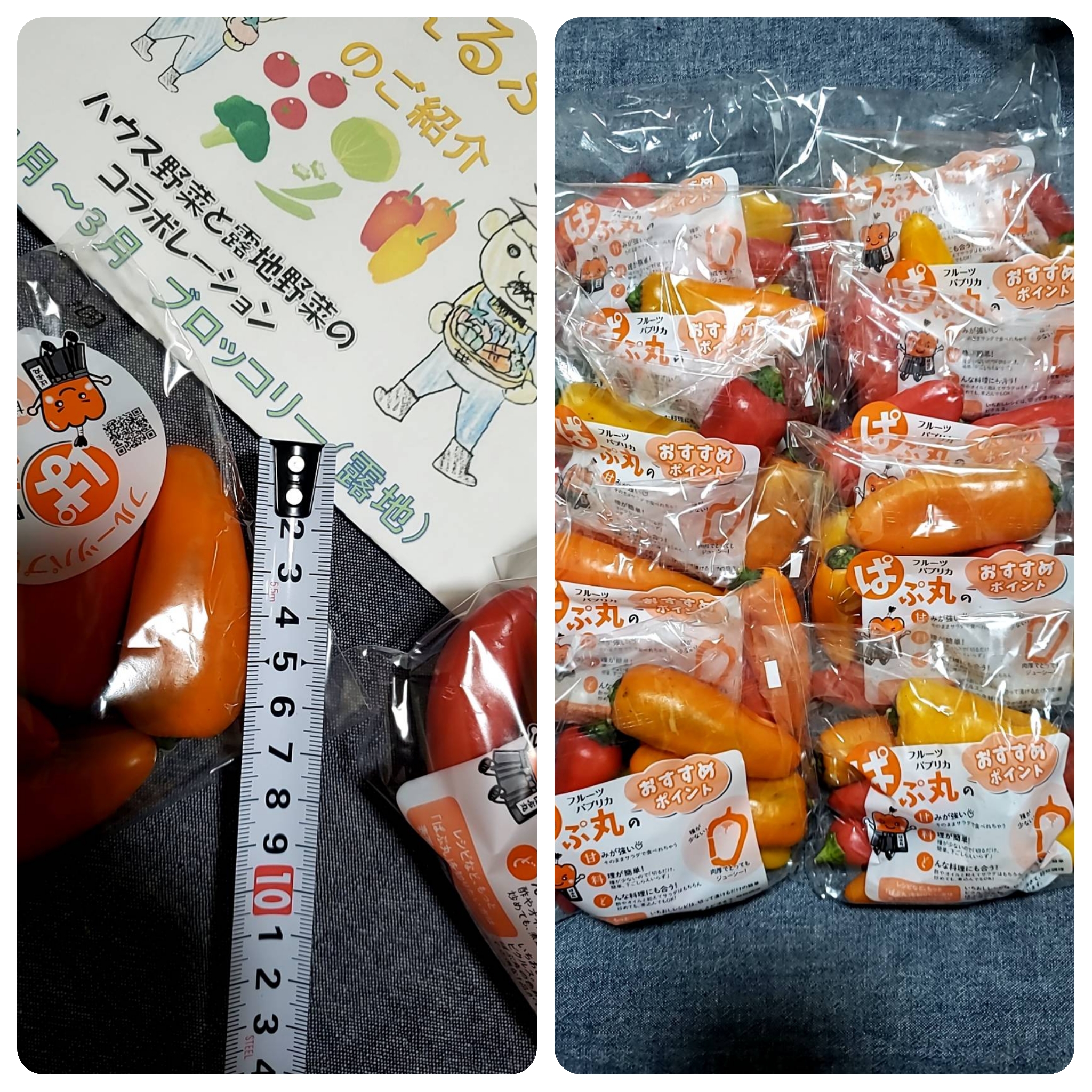 パプリカ！いろいろな方にご購入頂けたら、幸いです！ みなさまのお墨付き 3色パプリカ ミックス （冷凍）｜西友ネット