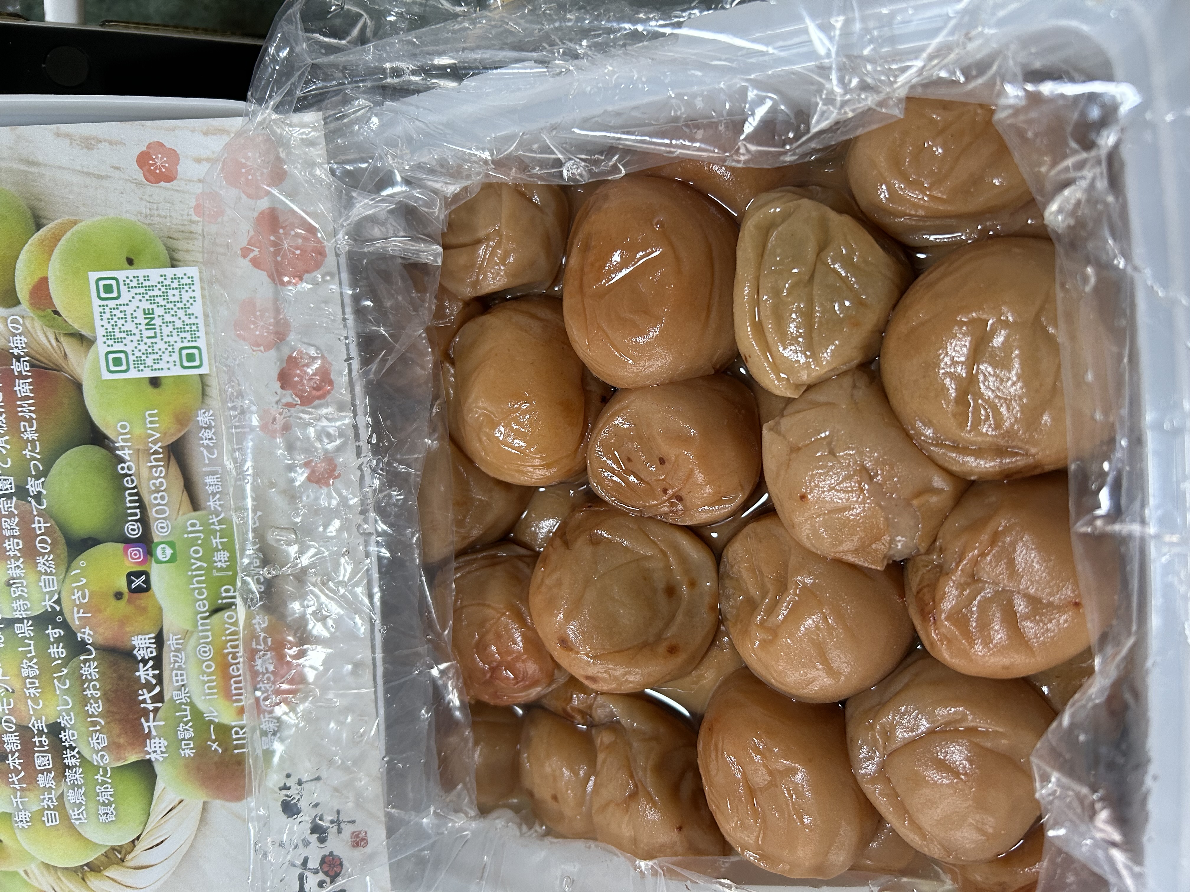 6周年限定】 うすしお梅干し 特別栽培 紀州南高梅 農家直送 ｜ 加工品 