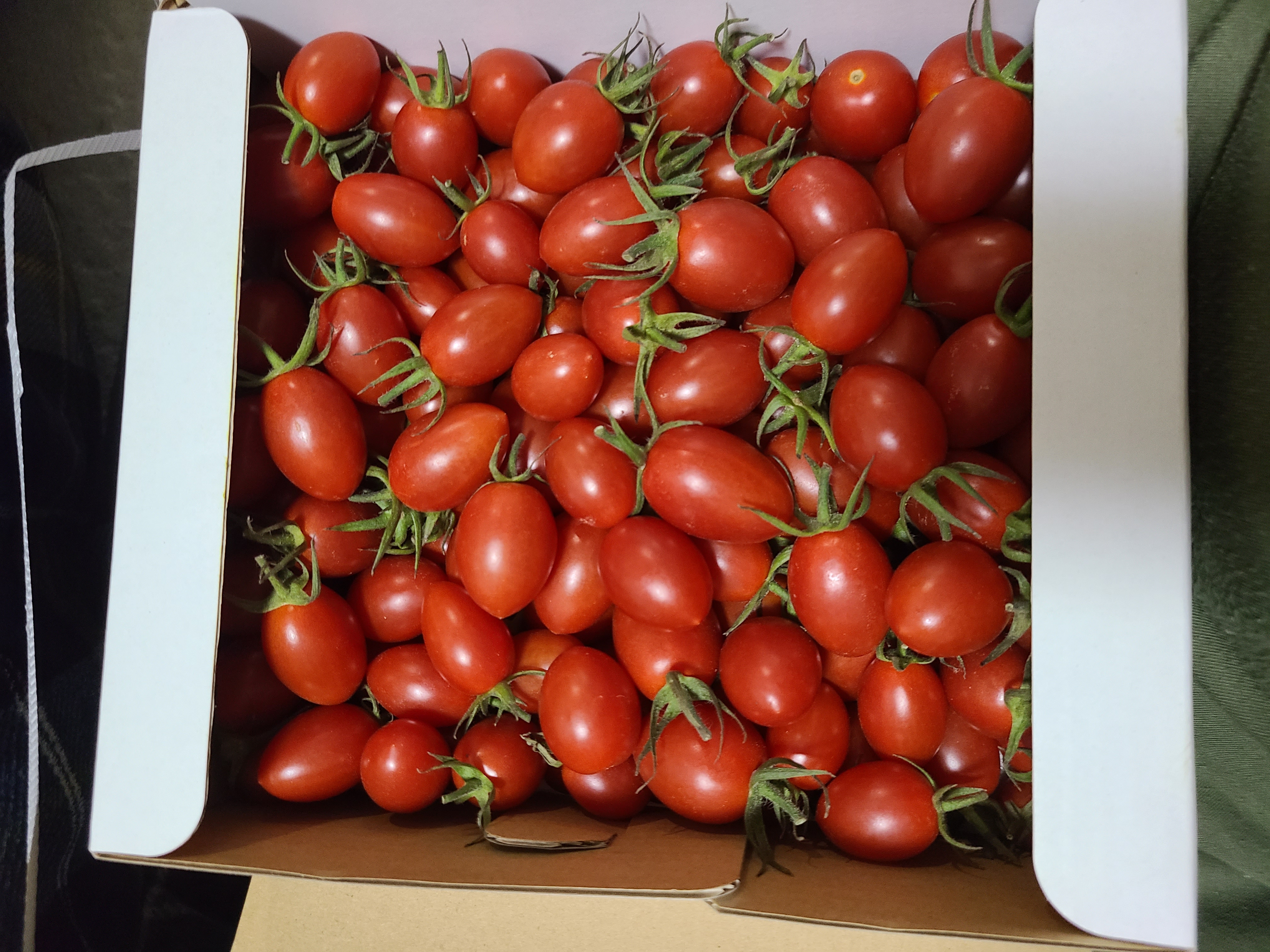 ミニトマト　２ｋｇ〜 うれしぱ農園 / ミニトマト 2kg 詰