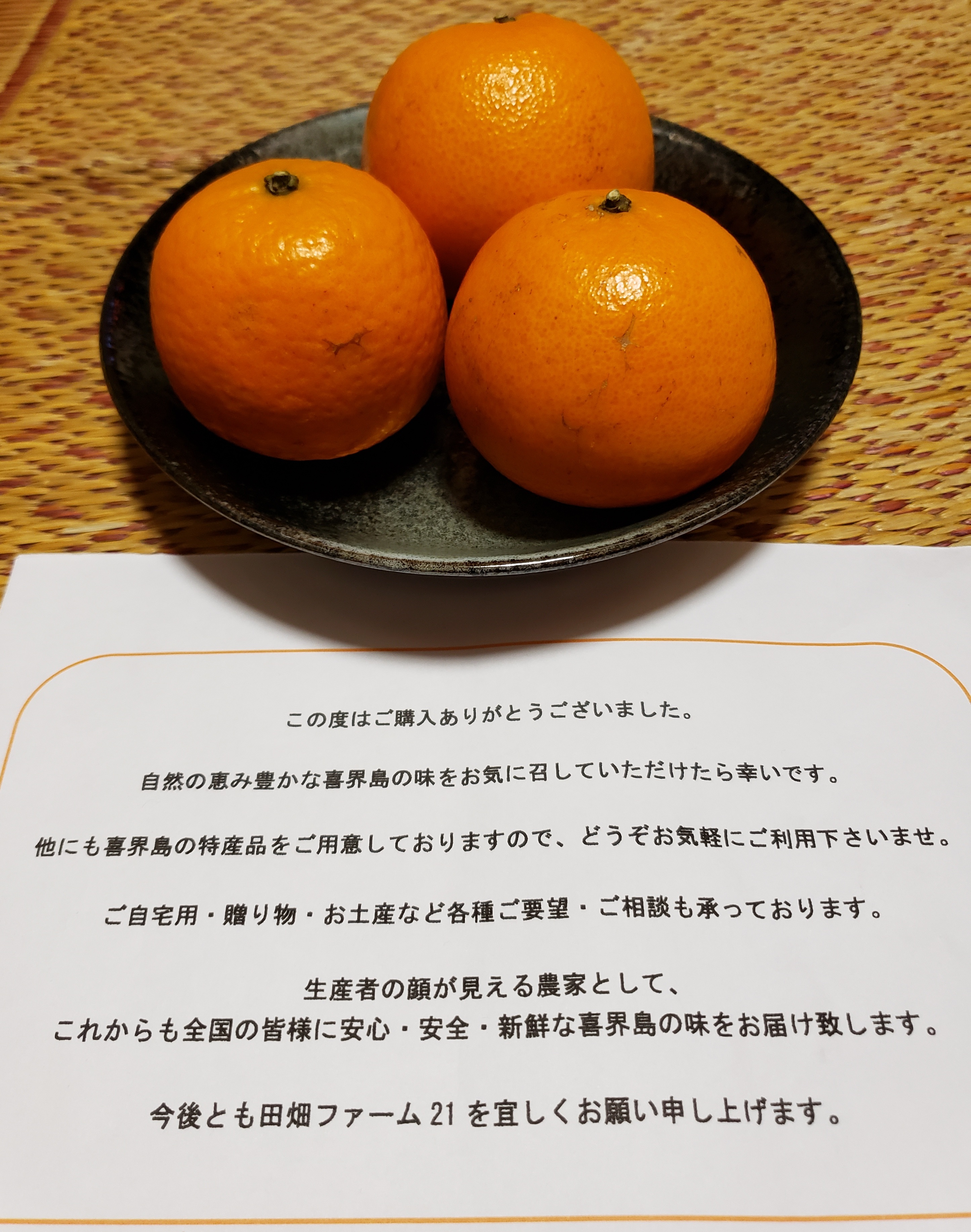国産・冬季限定】喜界島産たんかん 9〜12個程度（約1.8kg）OWL配送 