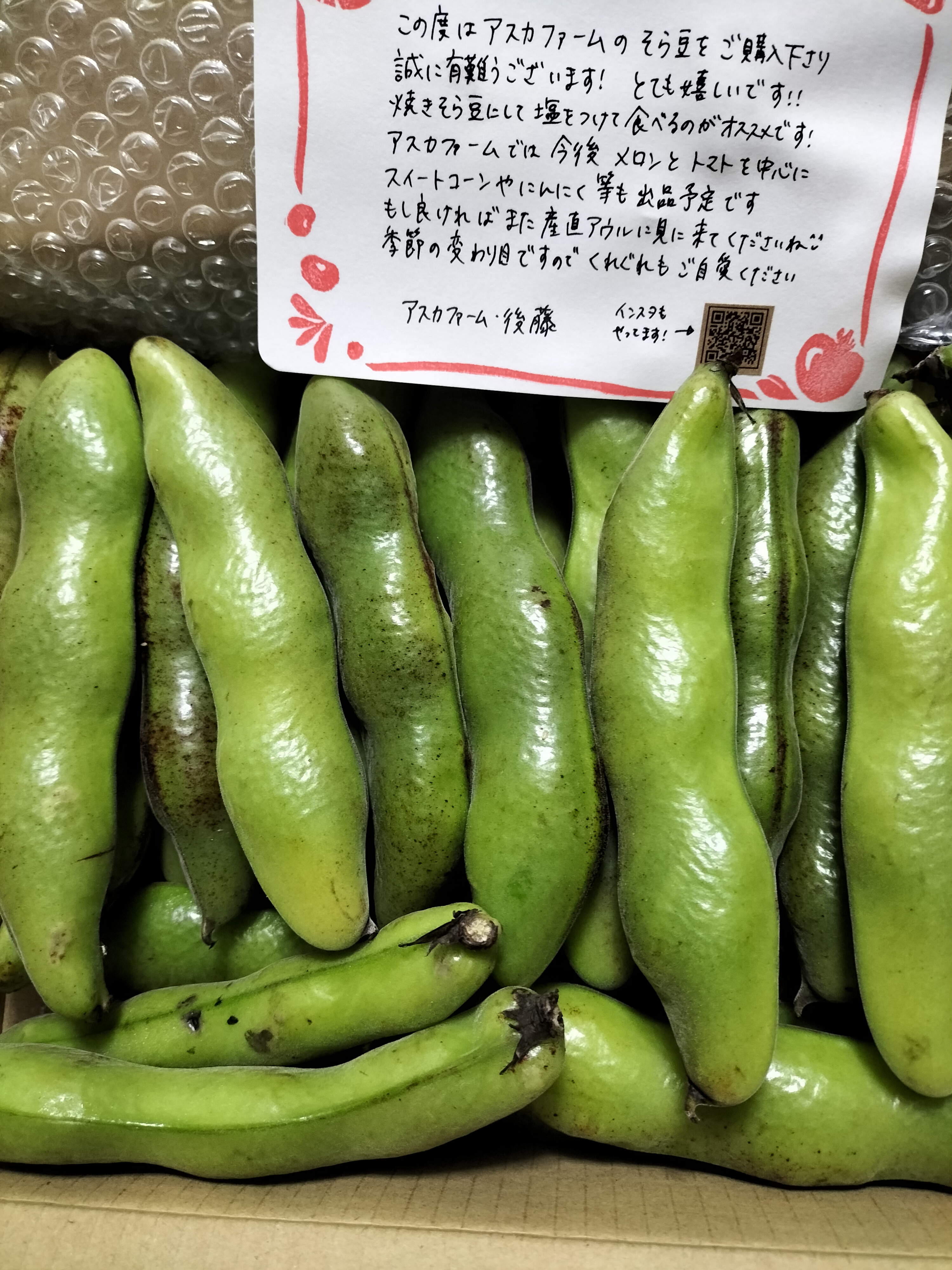 朝採り直送！節減対象農薬・化学肥料不使用♪ 今が旬の『そら豆