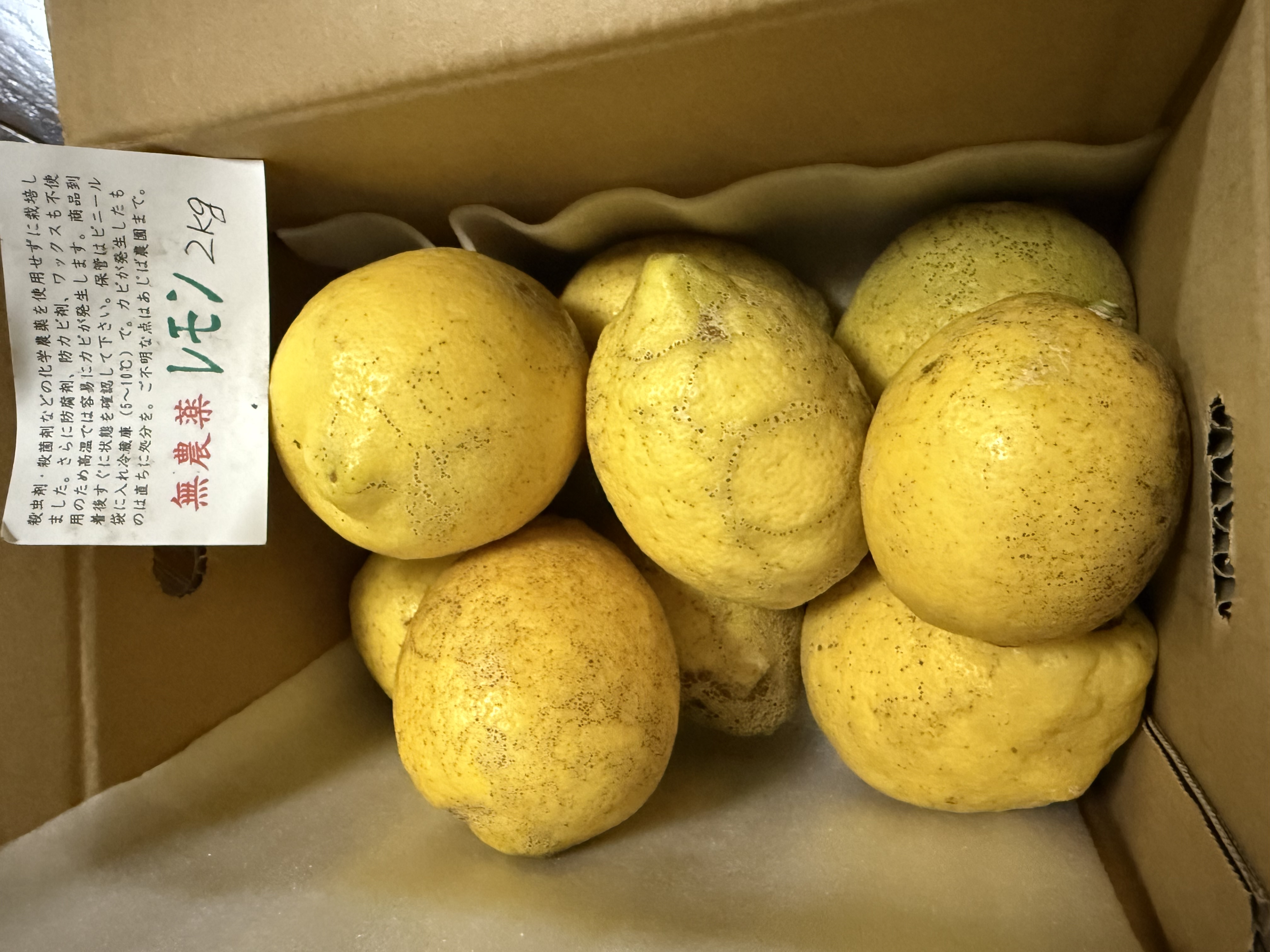 無農薬・レモン1.8kg | 果物/香酸柑橘(ライム・レモン等) 産直