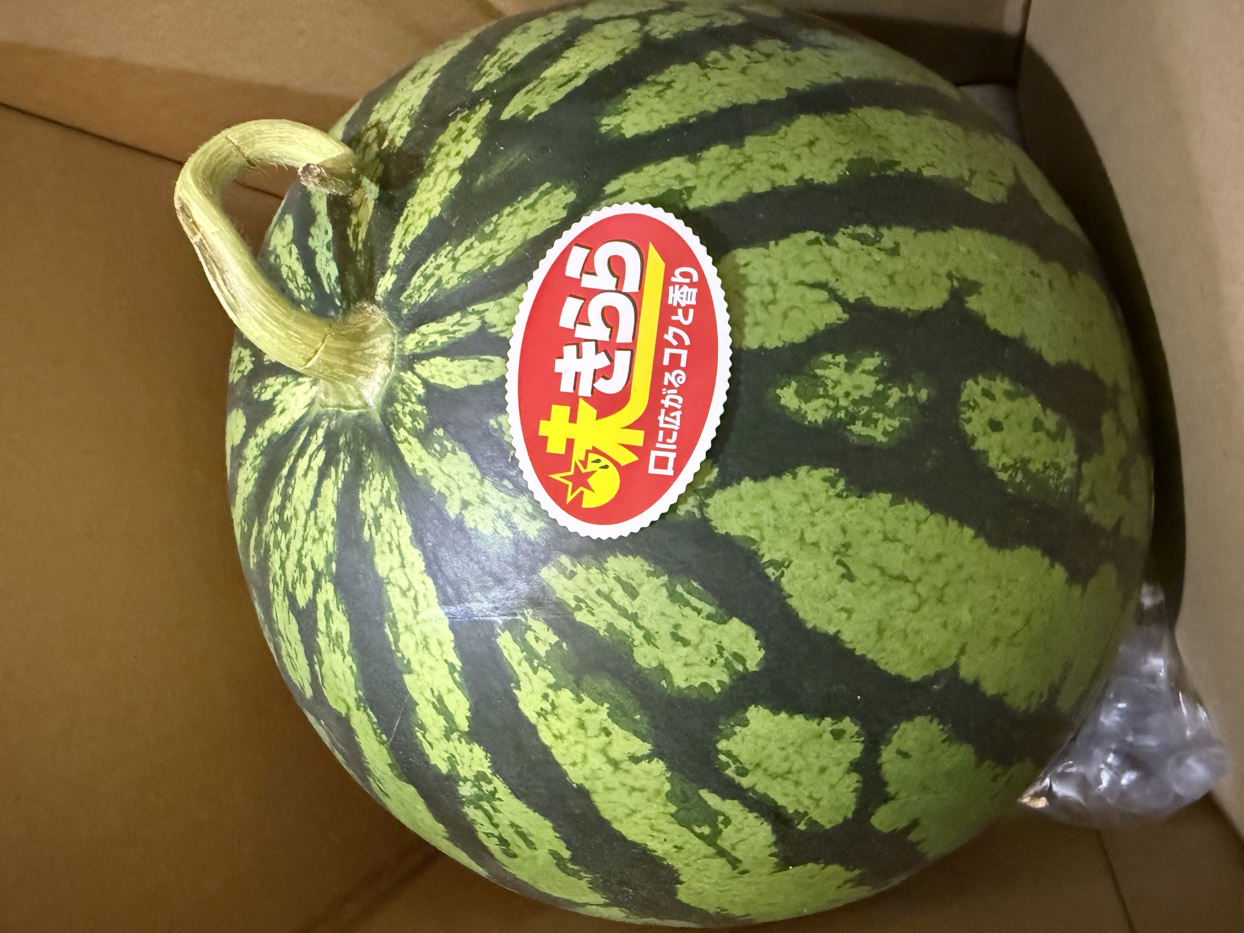 西瓜2玉 鳥取県産 大栄西瓜 L・2玉（約12kg）: 全農とっとり JAタウン店|【JA