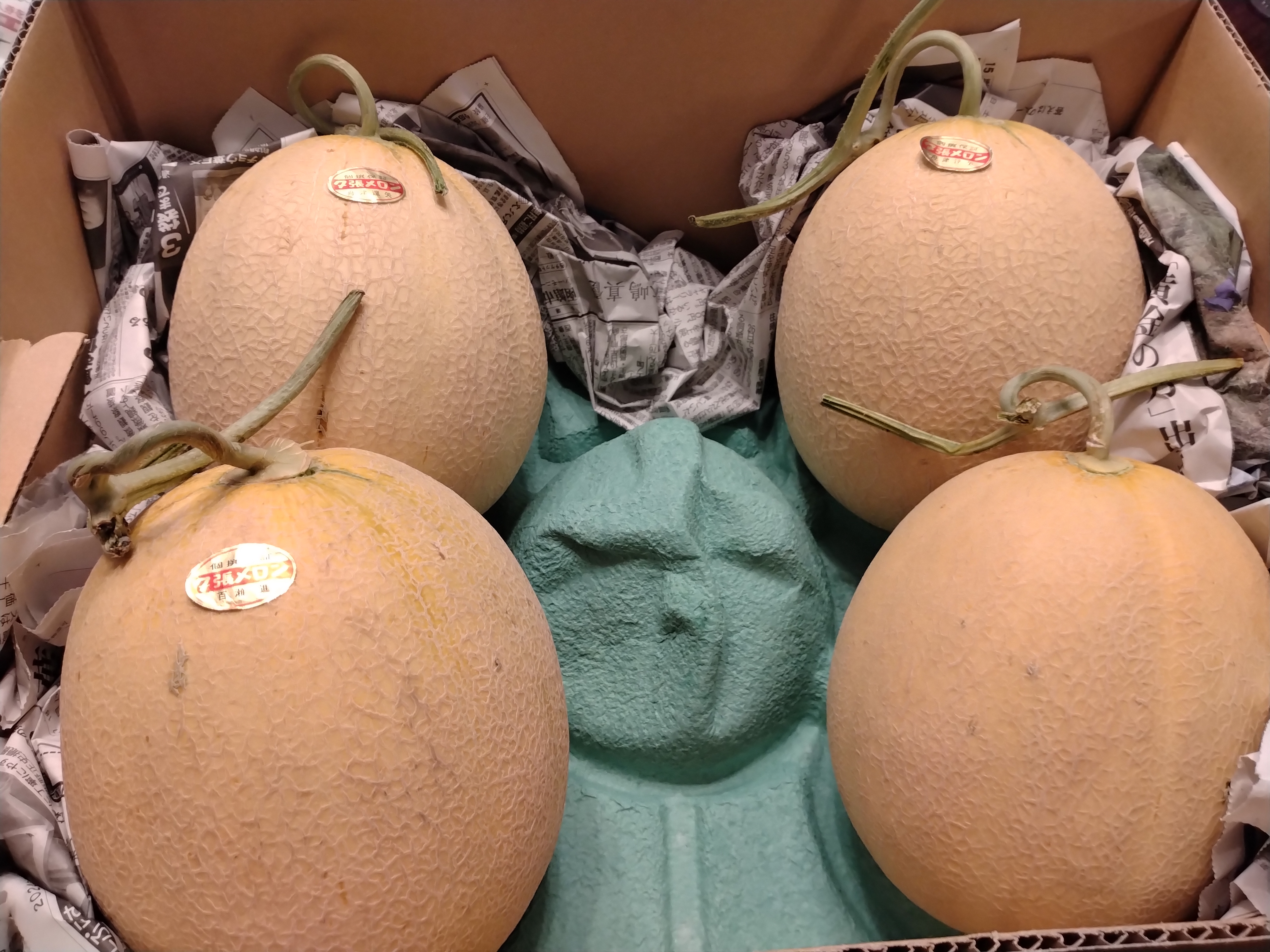 夕張メロン 4～5玉入れ1箱8kg 良品以上 北海道産 | 果物
