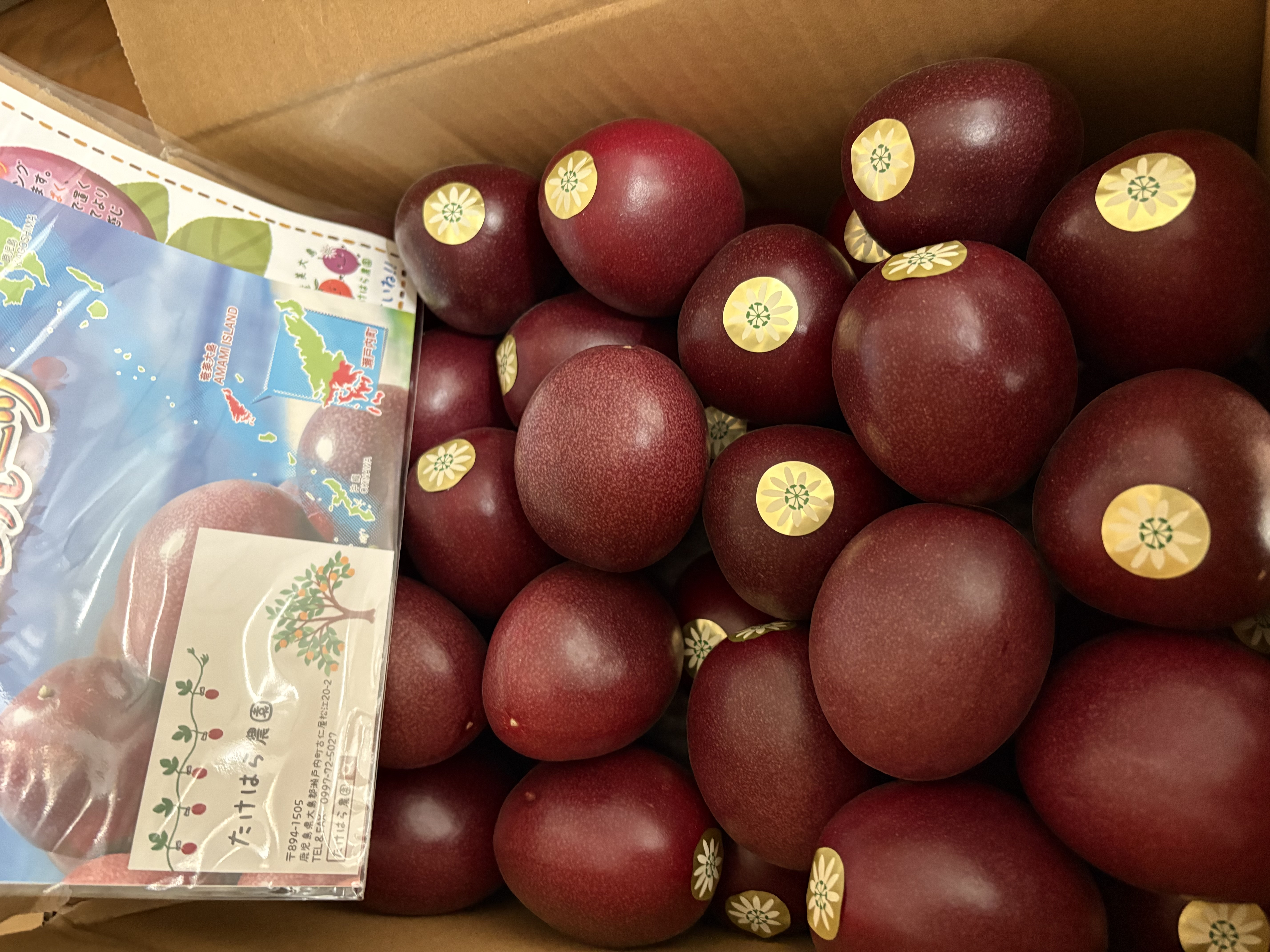 パッションフルーツ3kg | 果物/パッションフルーツ 産直