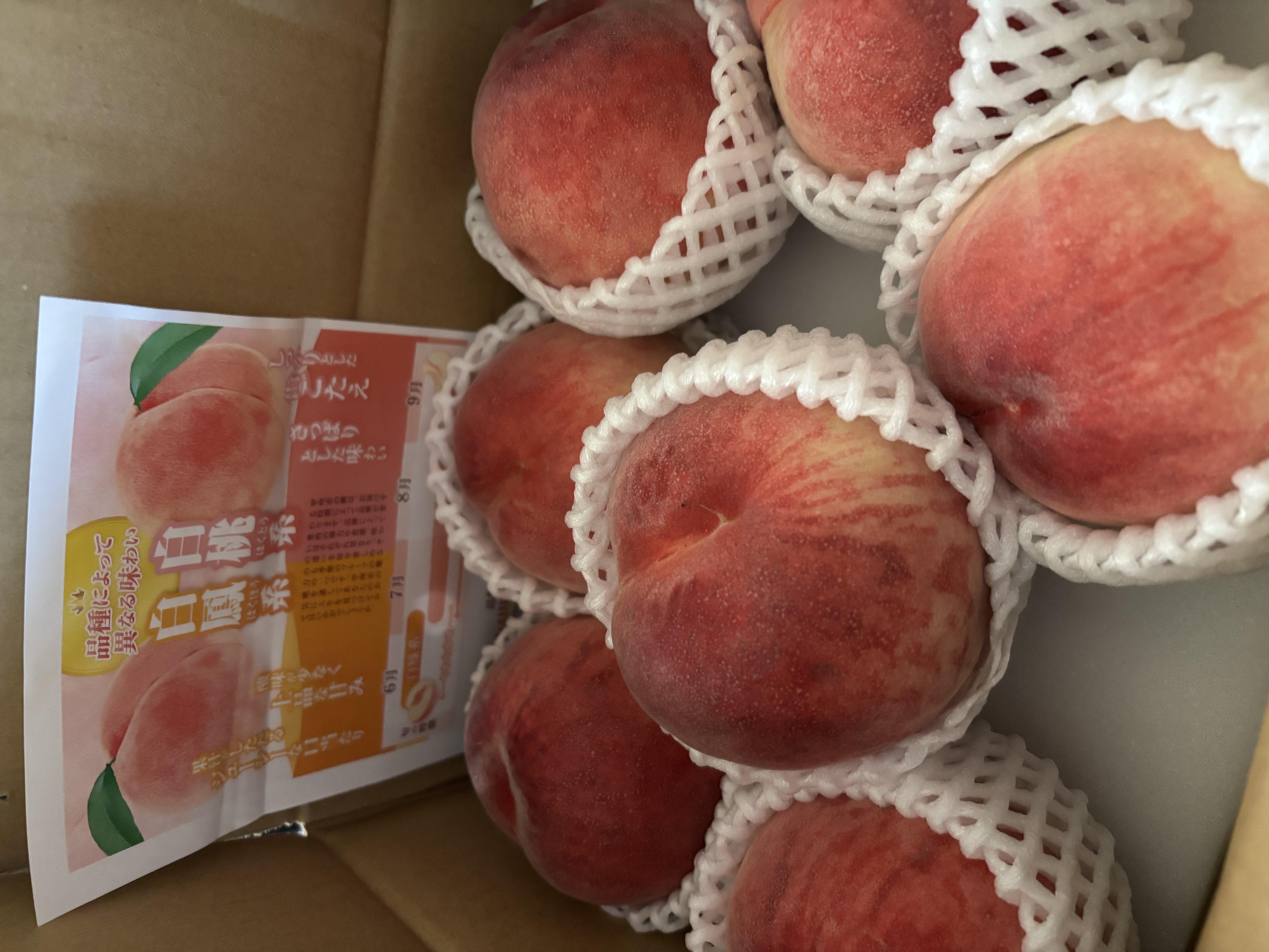 にわこさんが HARU FARM の 山梨の完熟桃 約2kg 秀品 についての