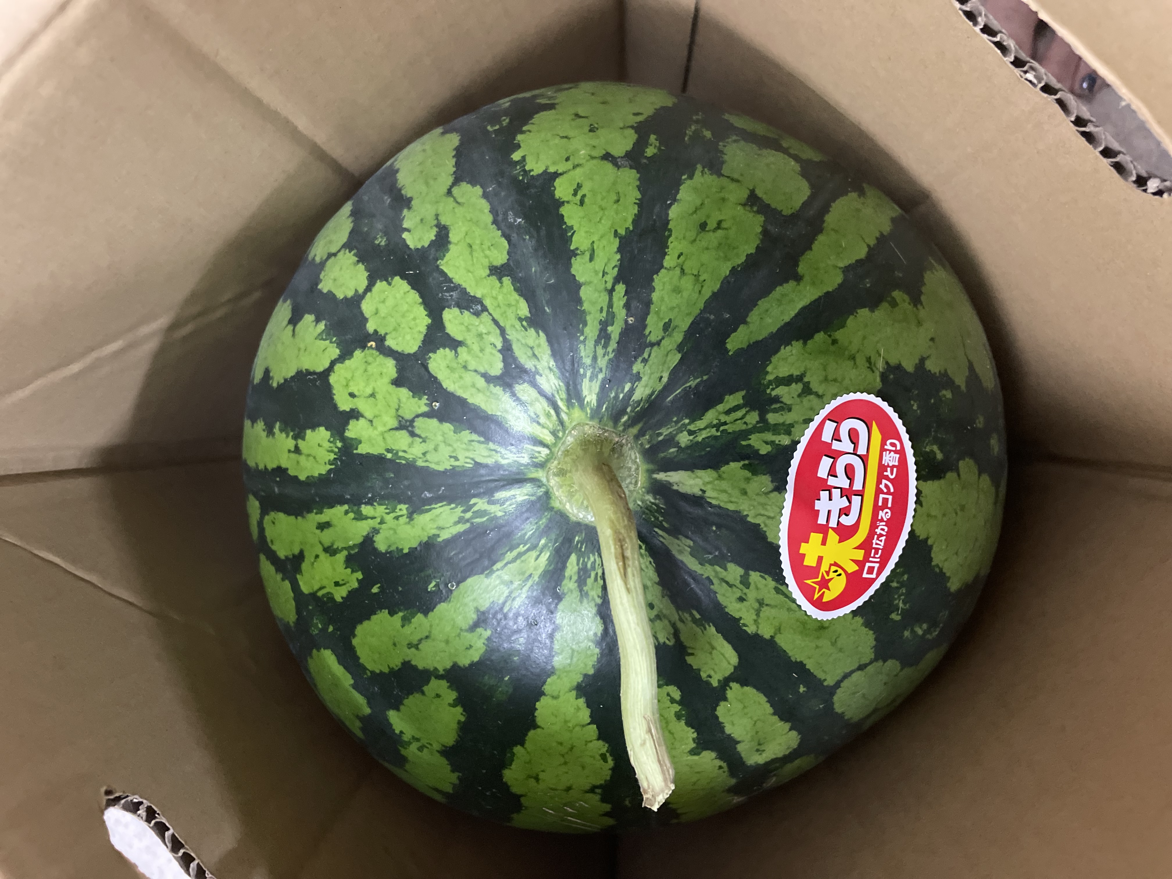 西瓜2玉 鳥取県産 大栄西瓜 L・2玉（約12kg）: 全農とっとり JAタウン店|【JA