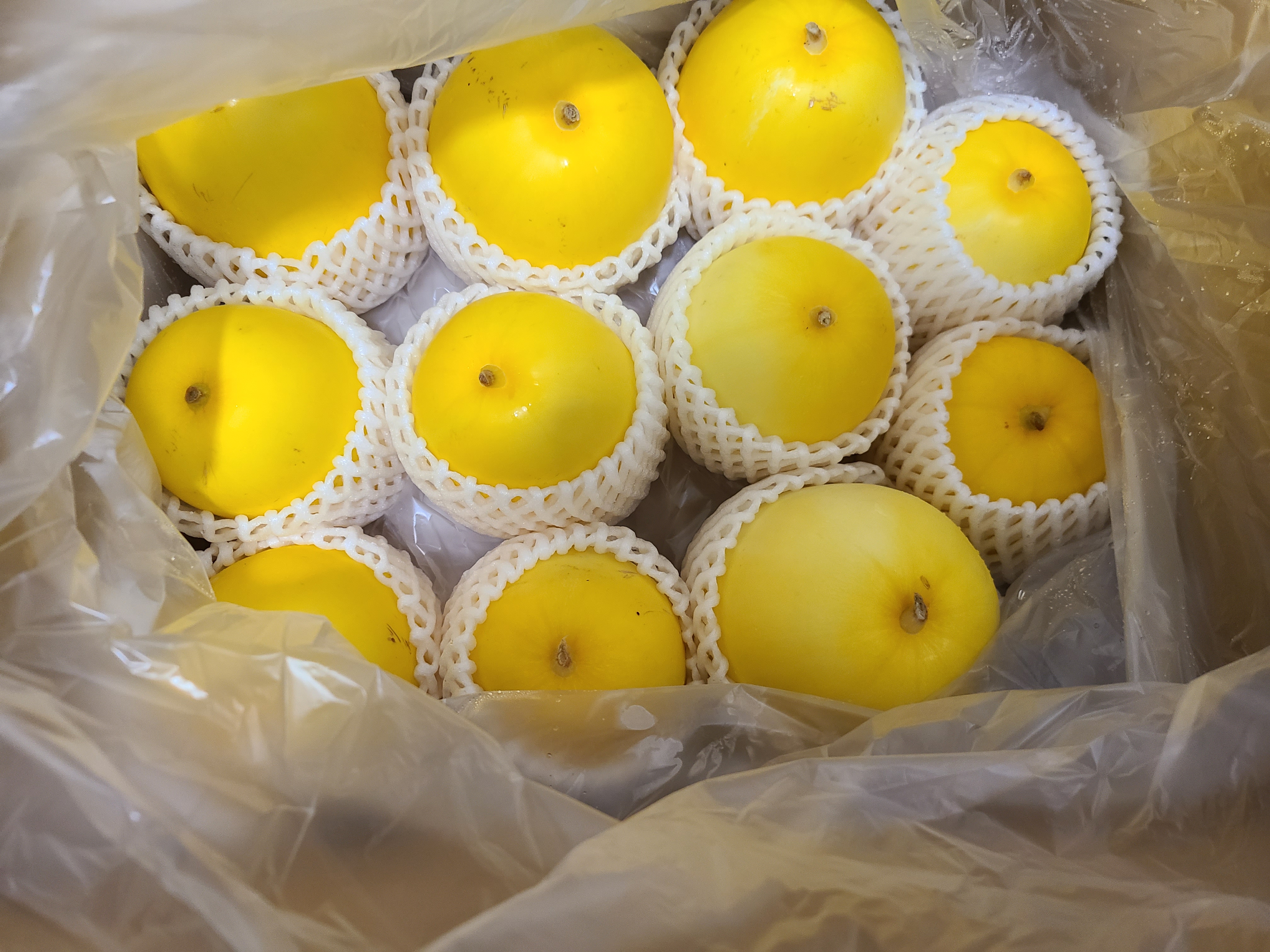 夕張メロン 4～5玉入れ1箱8kg 良品以上 北海道産 | 果物