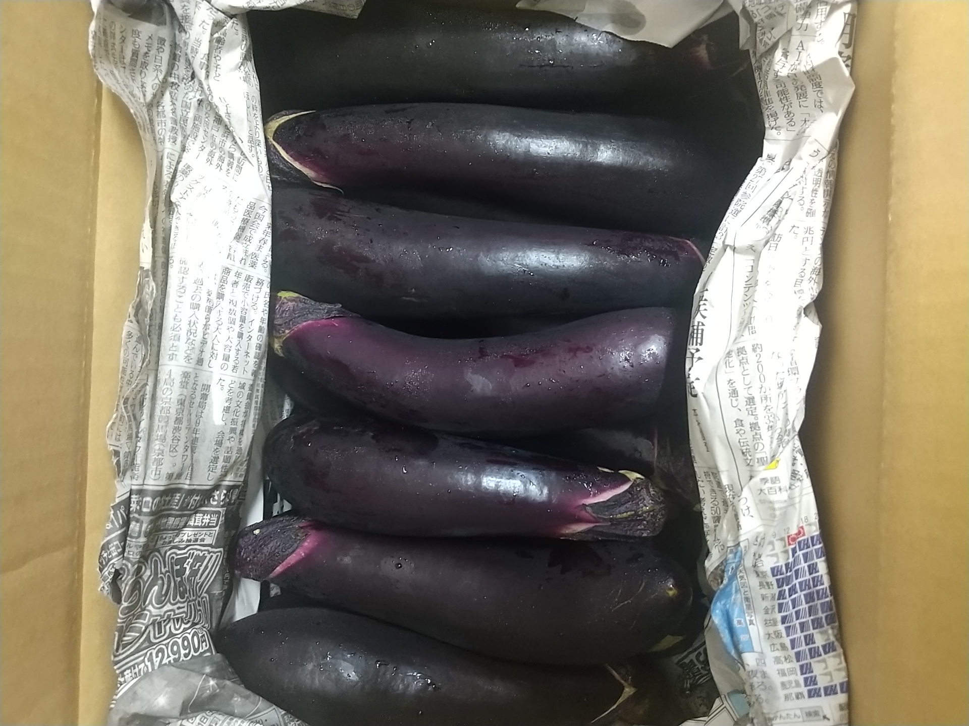 とろける長なす7キロ ｜ 野菜/茄子 産直アウル 農家・漁師など生産者