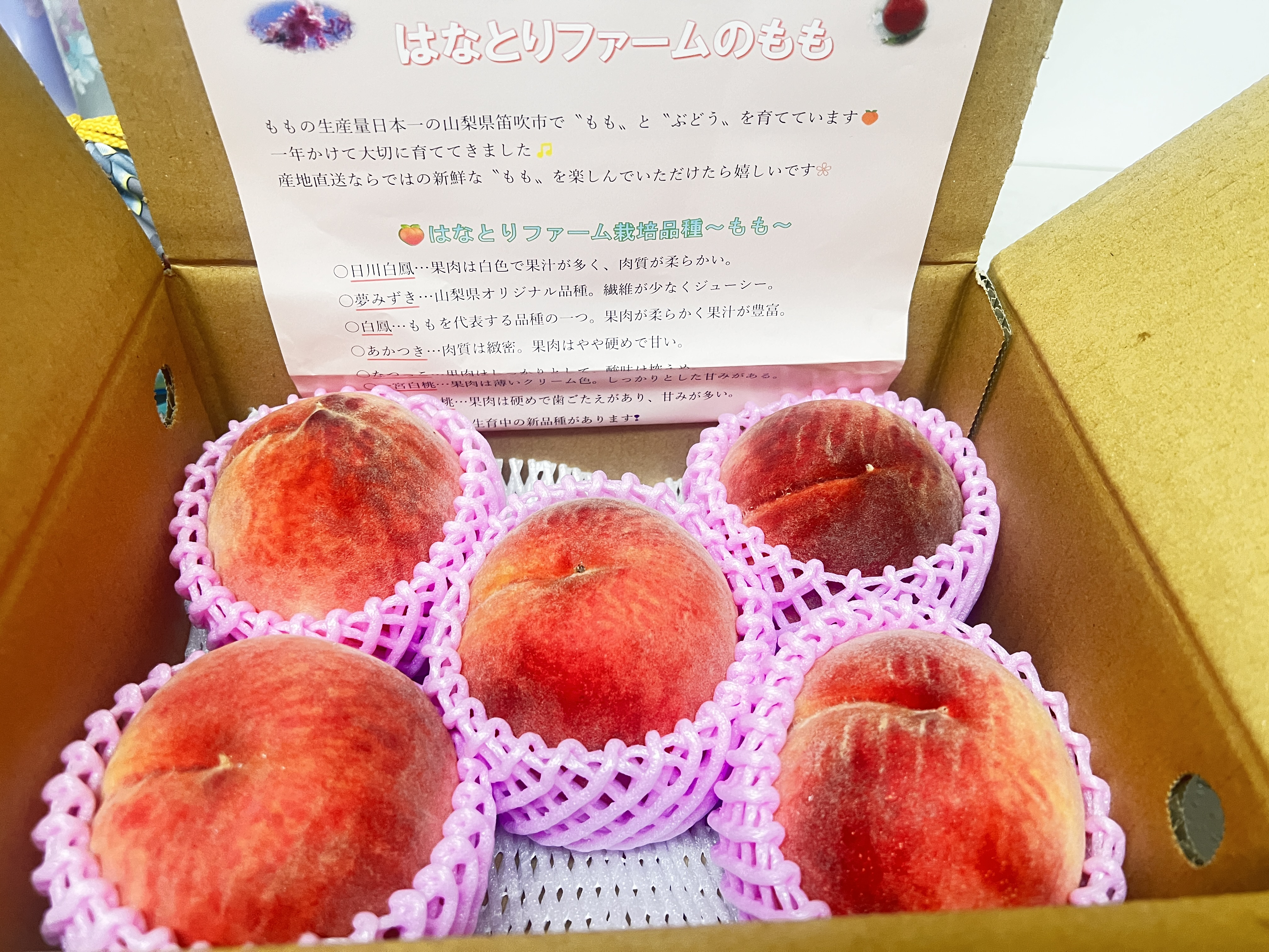 山梨県産 家庭用 桃 品種おまかせ 2キロ箱使用 ｜ 果物/もも 産直