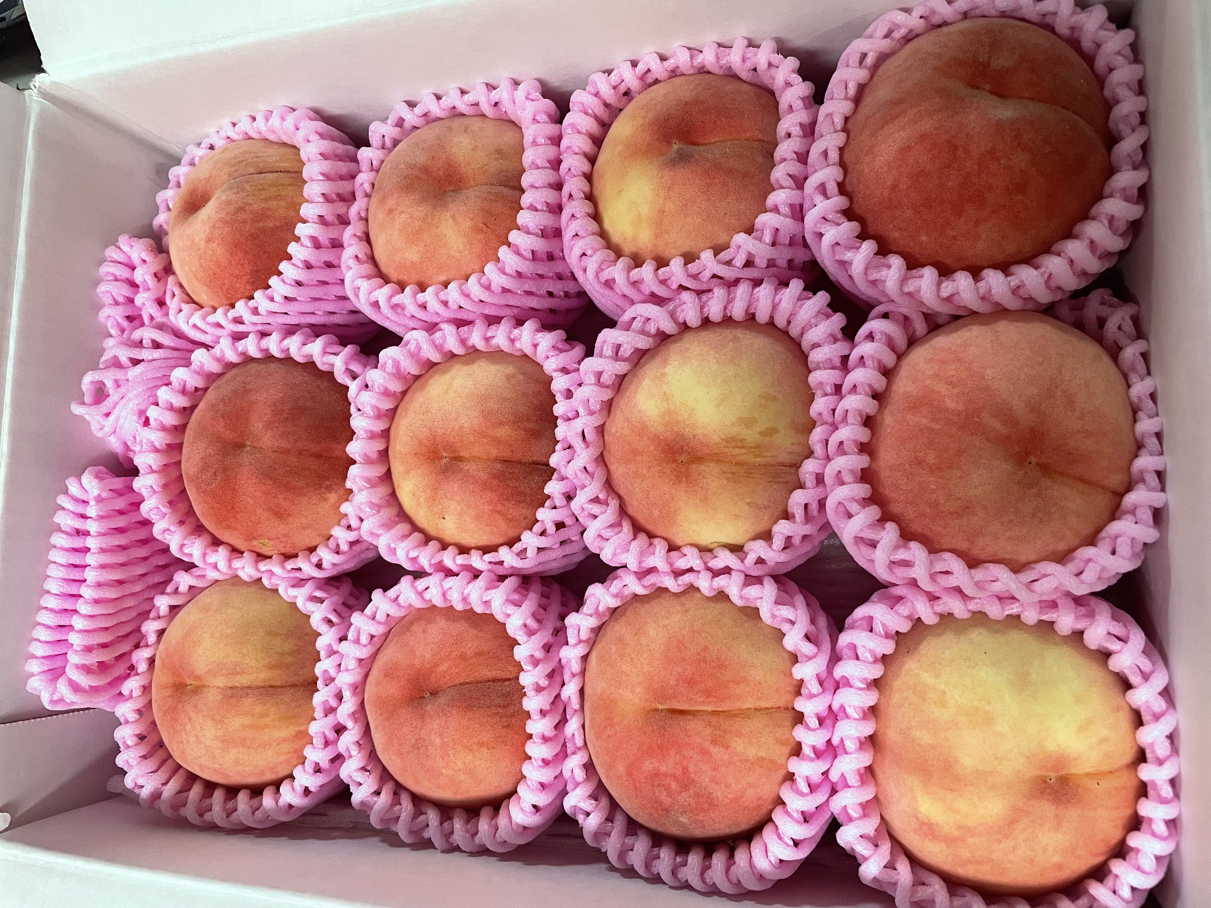 家庭用（訳あり品）桃3kg【数量限定】農家から朝採り直送便 | 果物/も