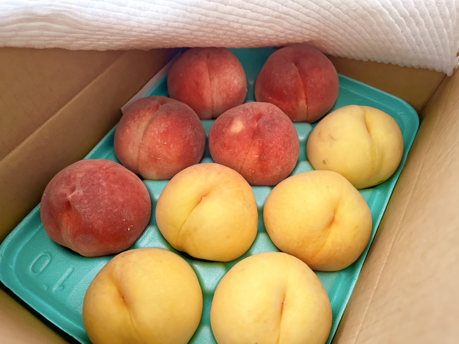 沖縄発送専用※〈お贈物にも！ご家庭でも!!〉旬の桃 約3kg(7~12玉 