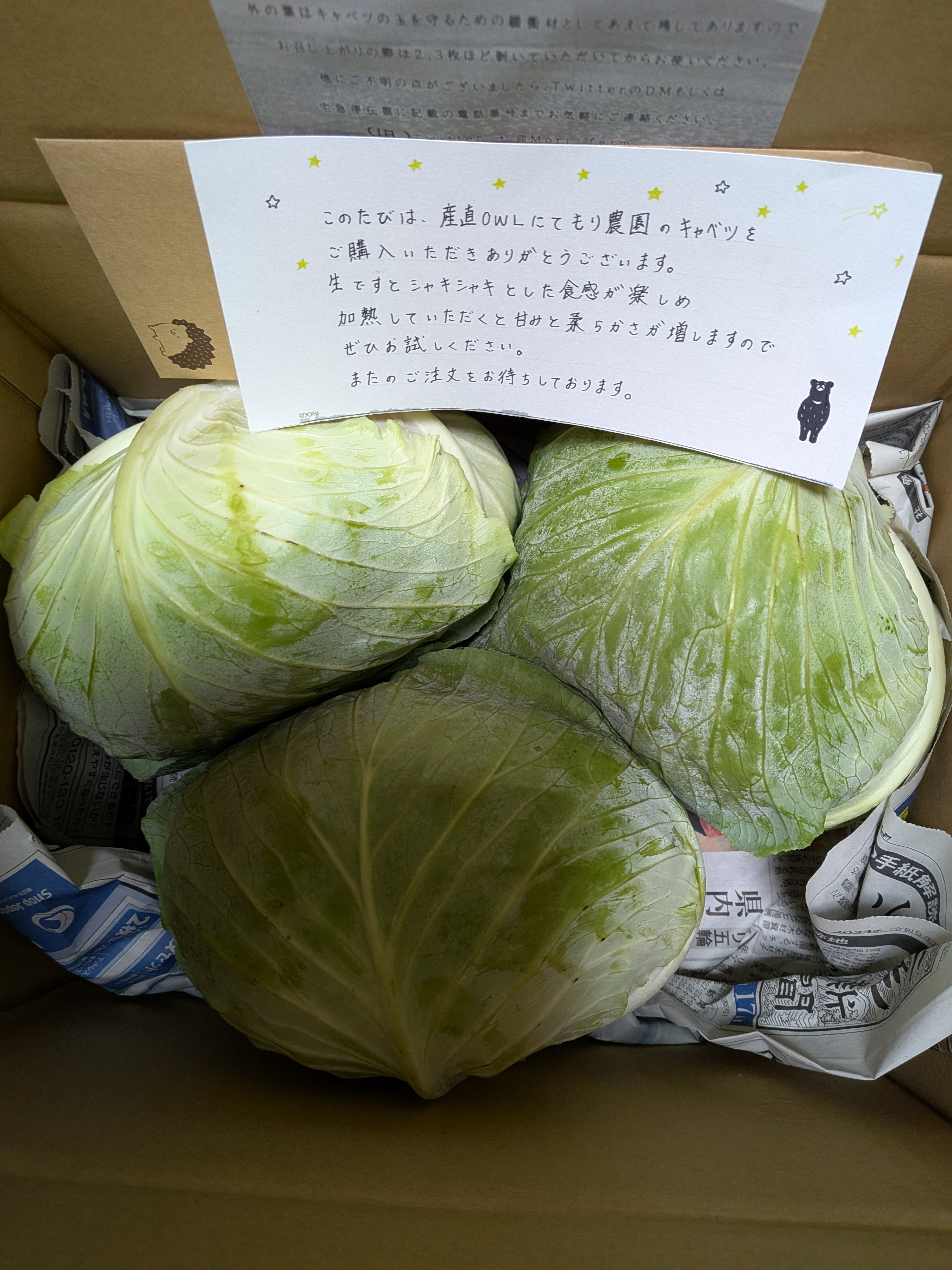 青森原産 野菜 キャベツ 30kg 自然栽培認証青森県産キャベツ 4キロ前後：青森県産の初恋｜食べチョク