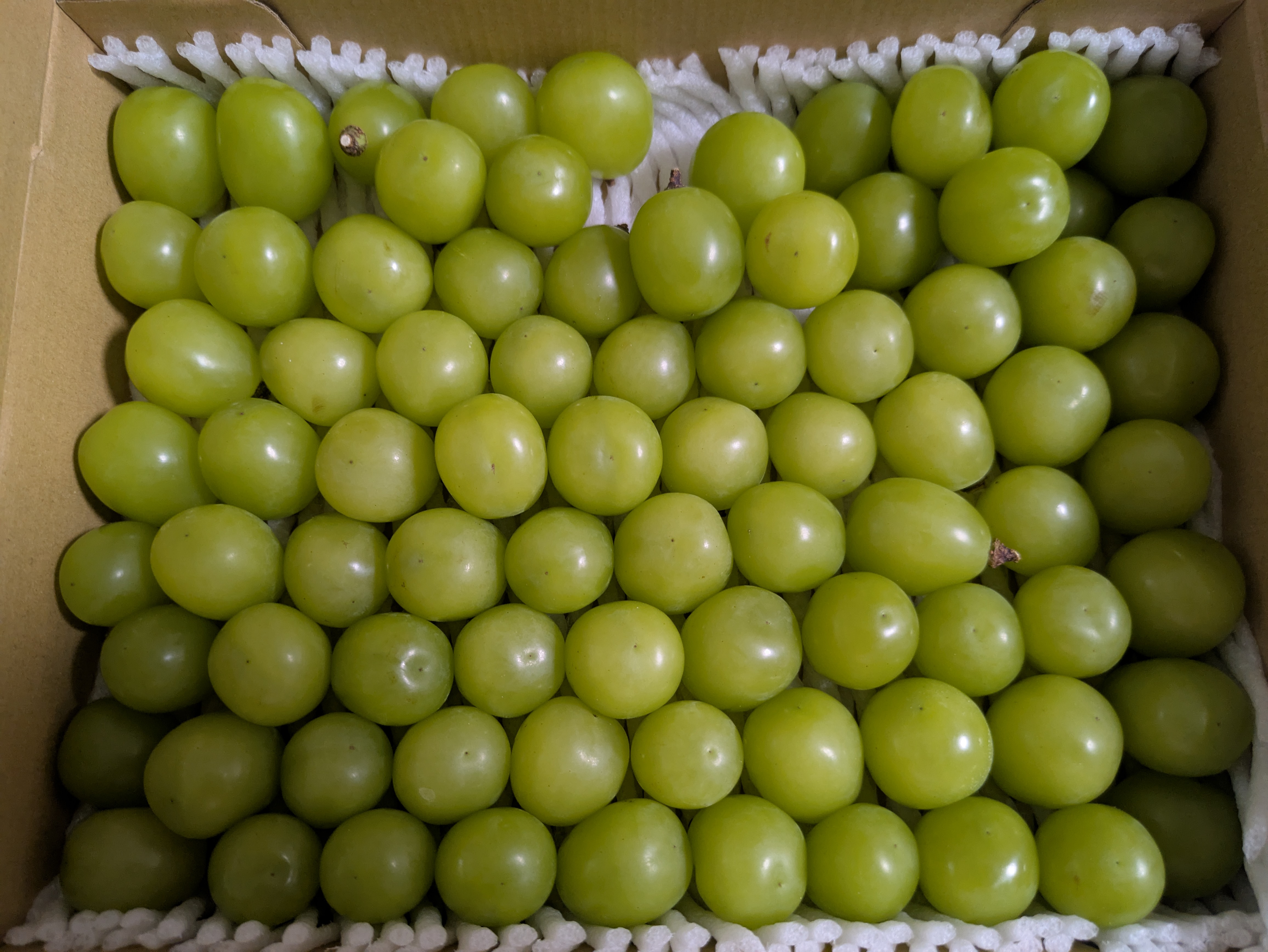 もんちんさんが 🍑peach &grape🍇 の 【訳あり】総重量1kg