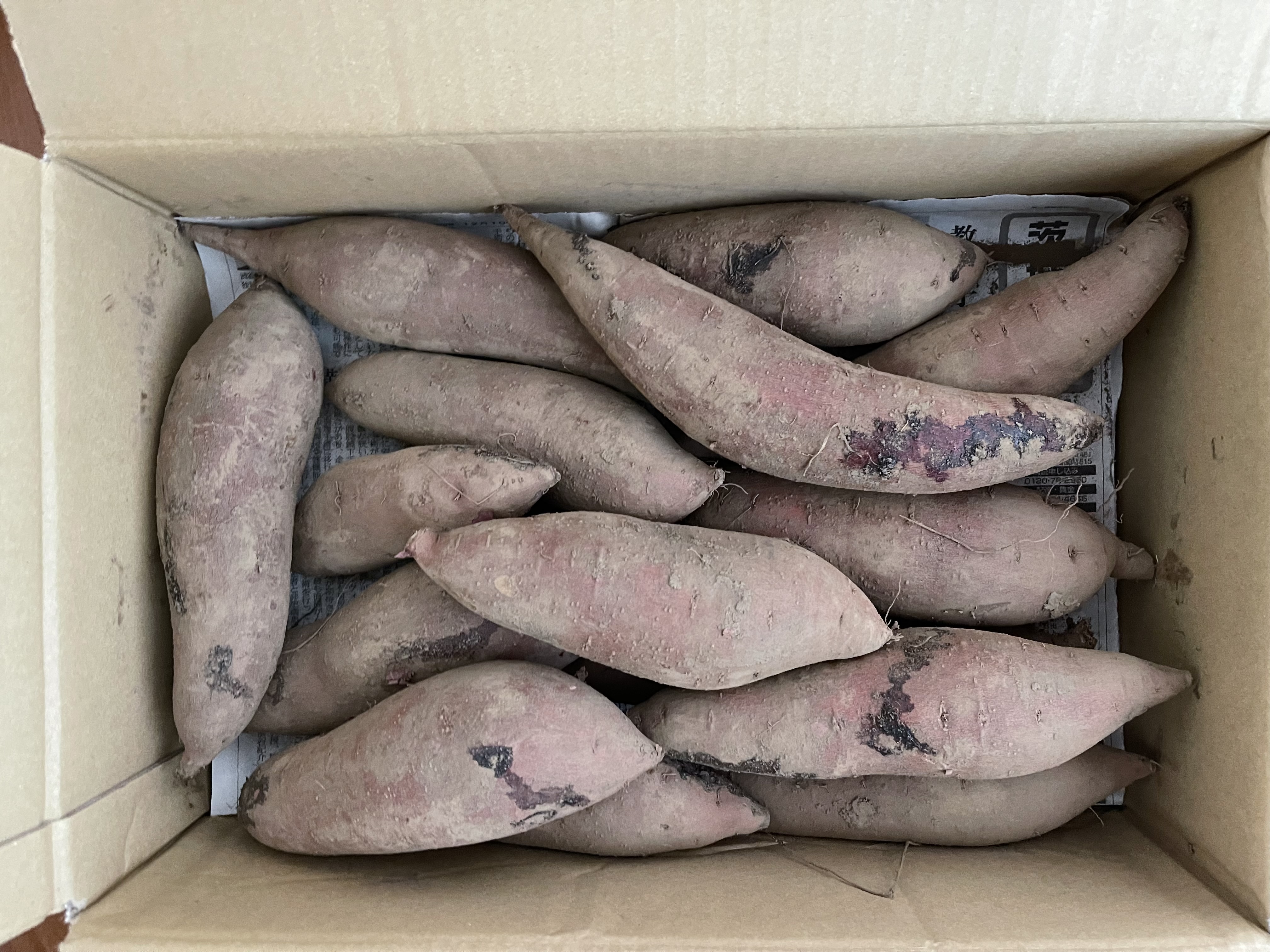佐之衛門のふくむらさき5キロ ｜ 野菜/さつまいも 産直アウル 農家