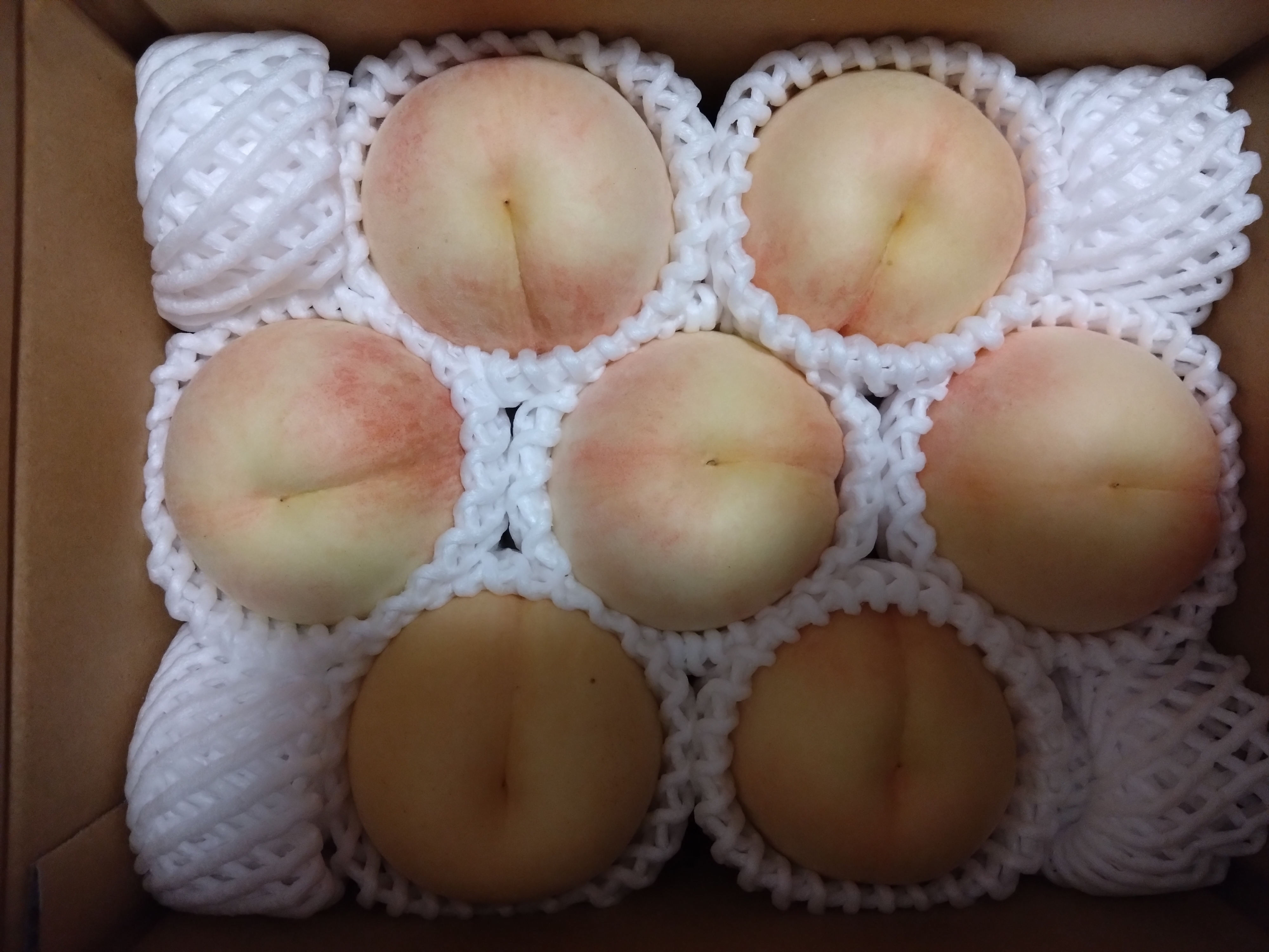 タカハシ果樹園の桃(桃水)約2kg ｜ 果物/もも 産直アウル 農家・漁師