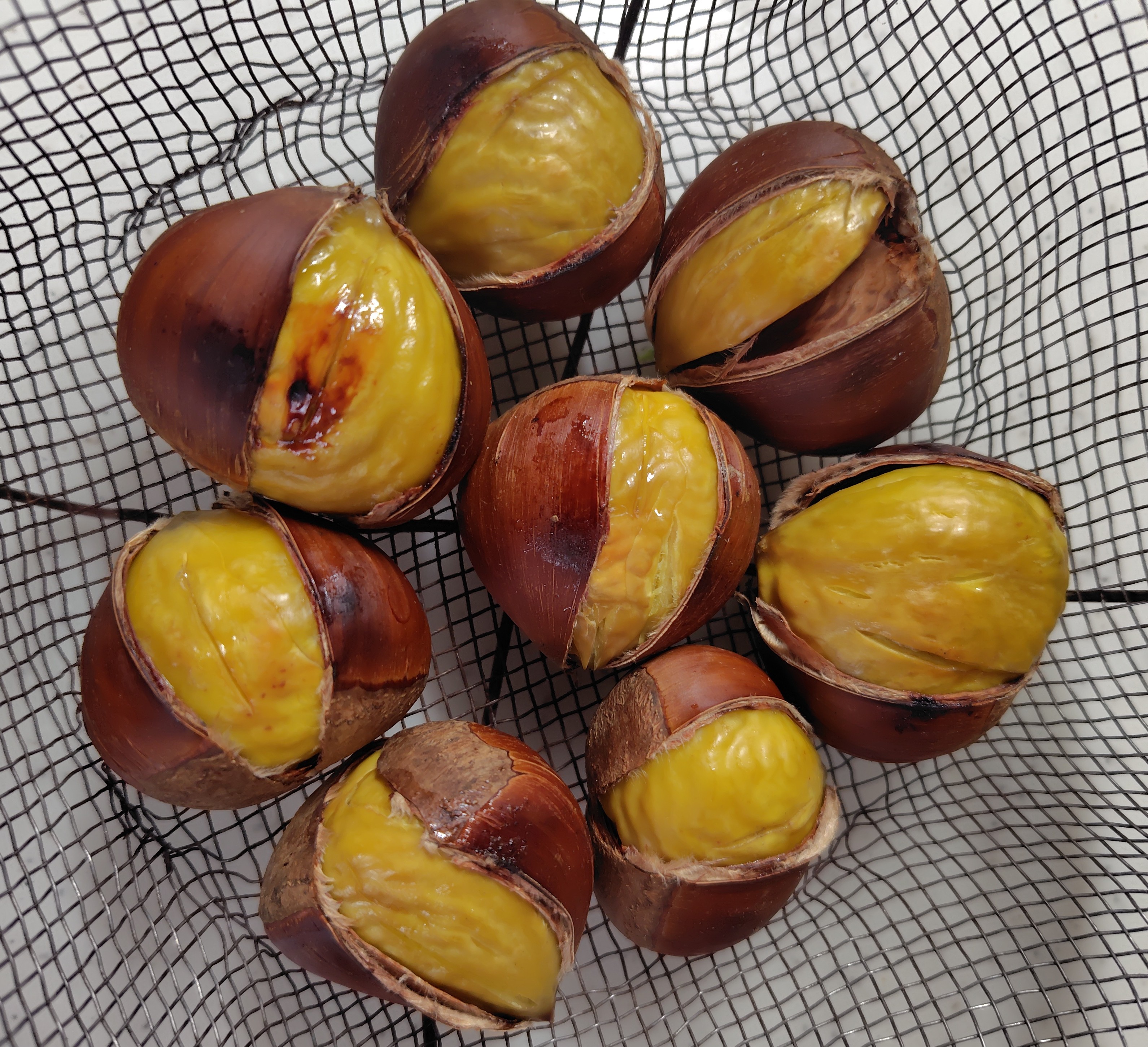 丹波栗特大サイズ　ぽろたん　2kg 2kg ぽろたん(生栗)【双松庵唯七 公式本店】