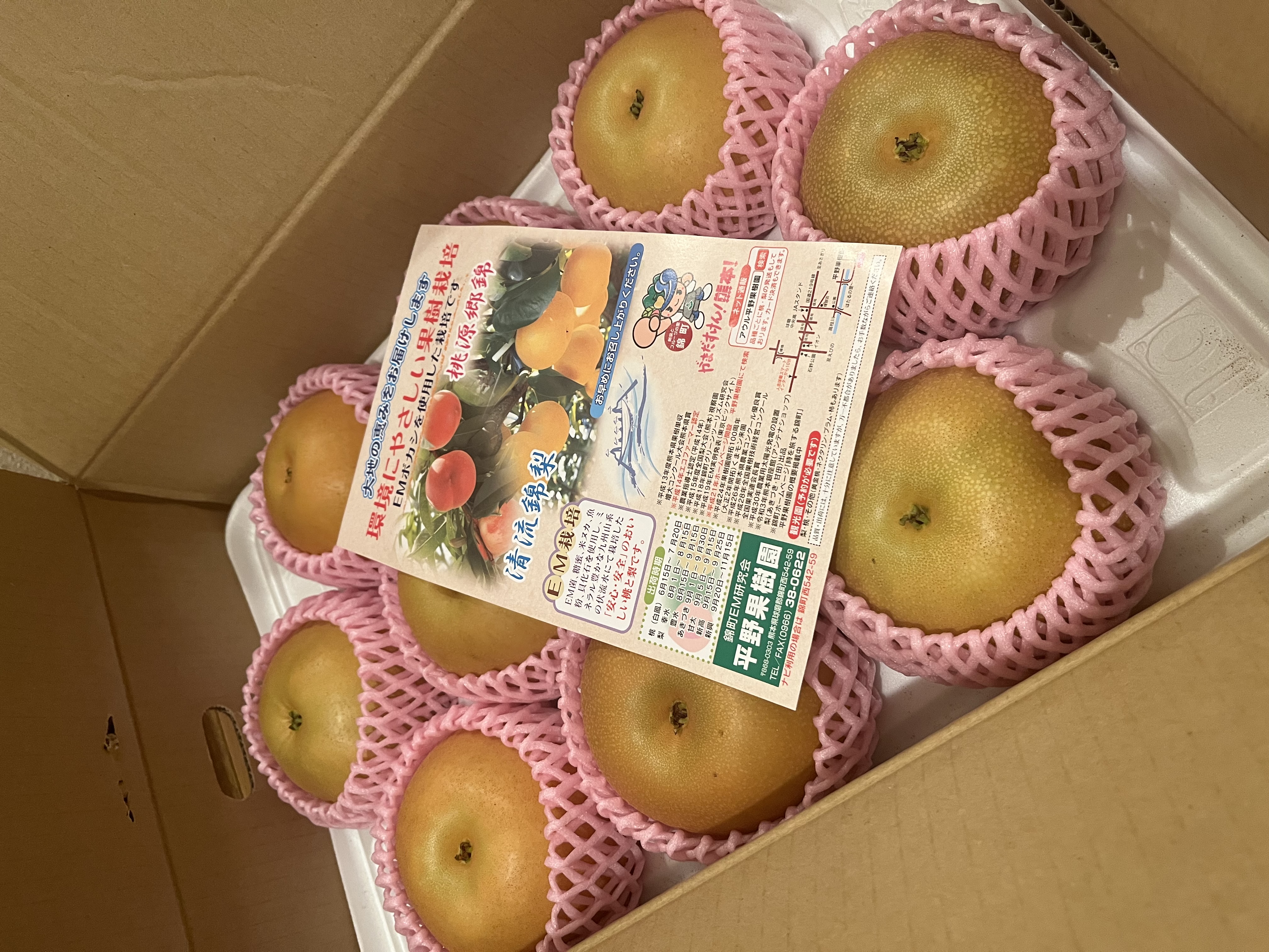 最終販売！あきづき 5kg箱(5〜14個入り) ｜ 果物/梨 産直アウル 農家 