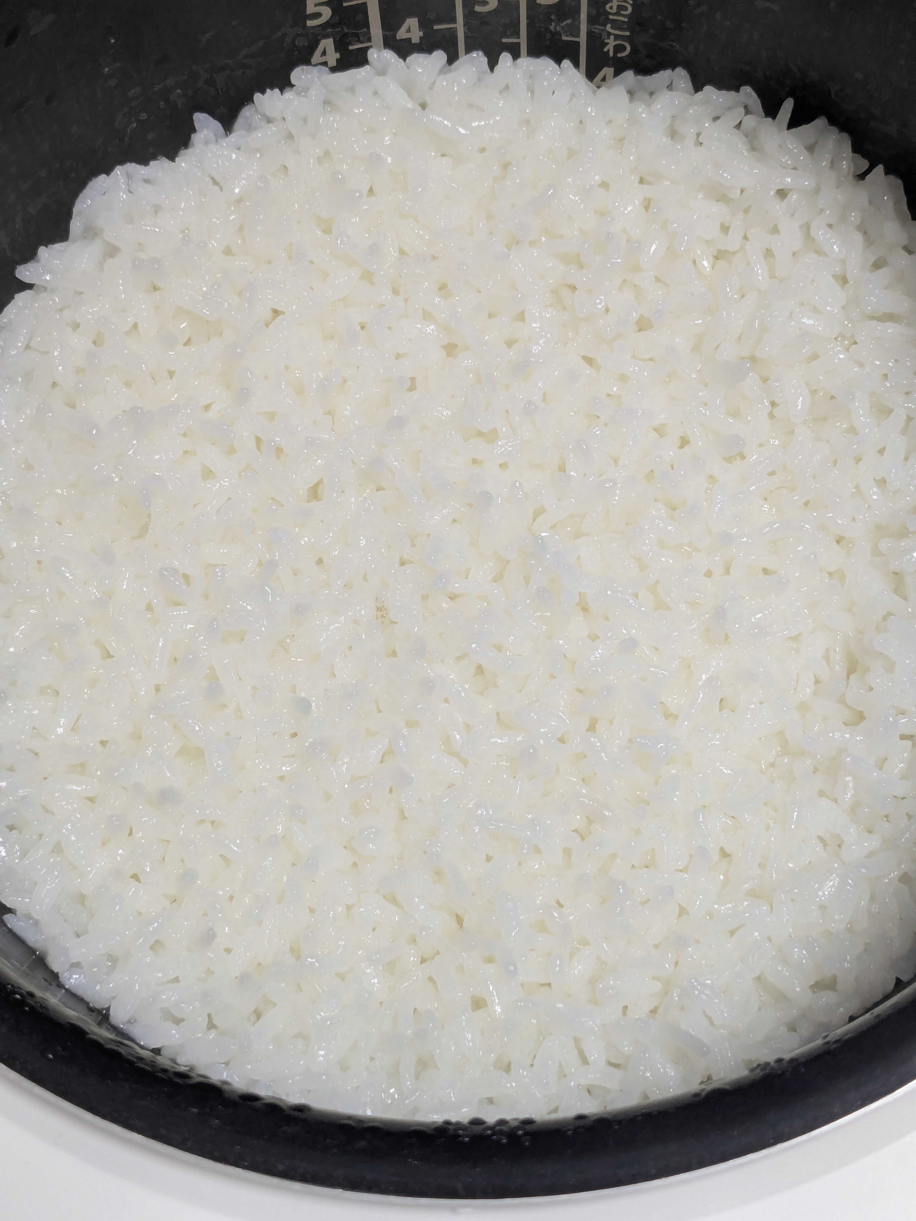 リピーター様用 宮城県松島産 ひとめぼれ 令和8年新米 | 米・穀物/米