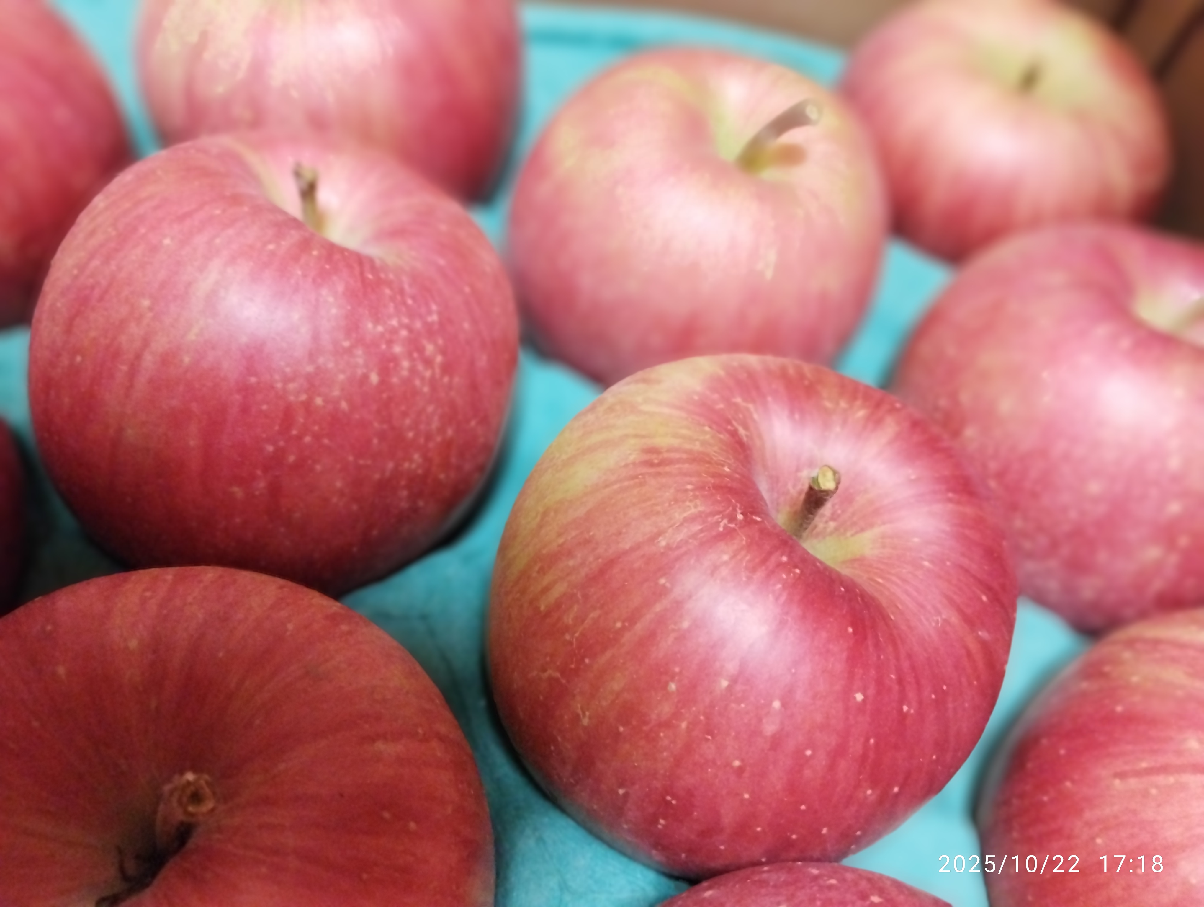 りんご　☆プロフ必読でお願い致します☆ 沼沢果樹園 オススメ 贈答おち 完熟サンふじ 5キロ | 果物