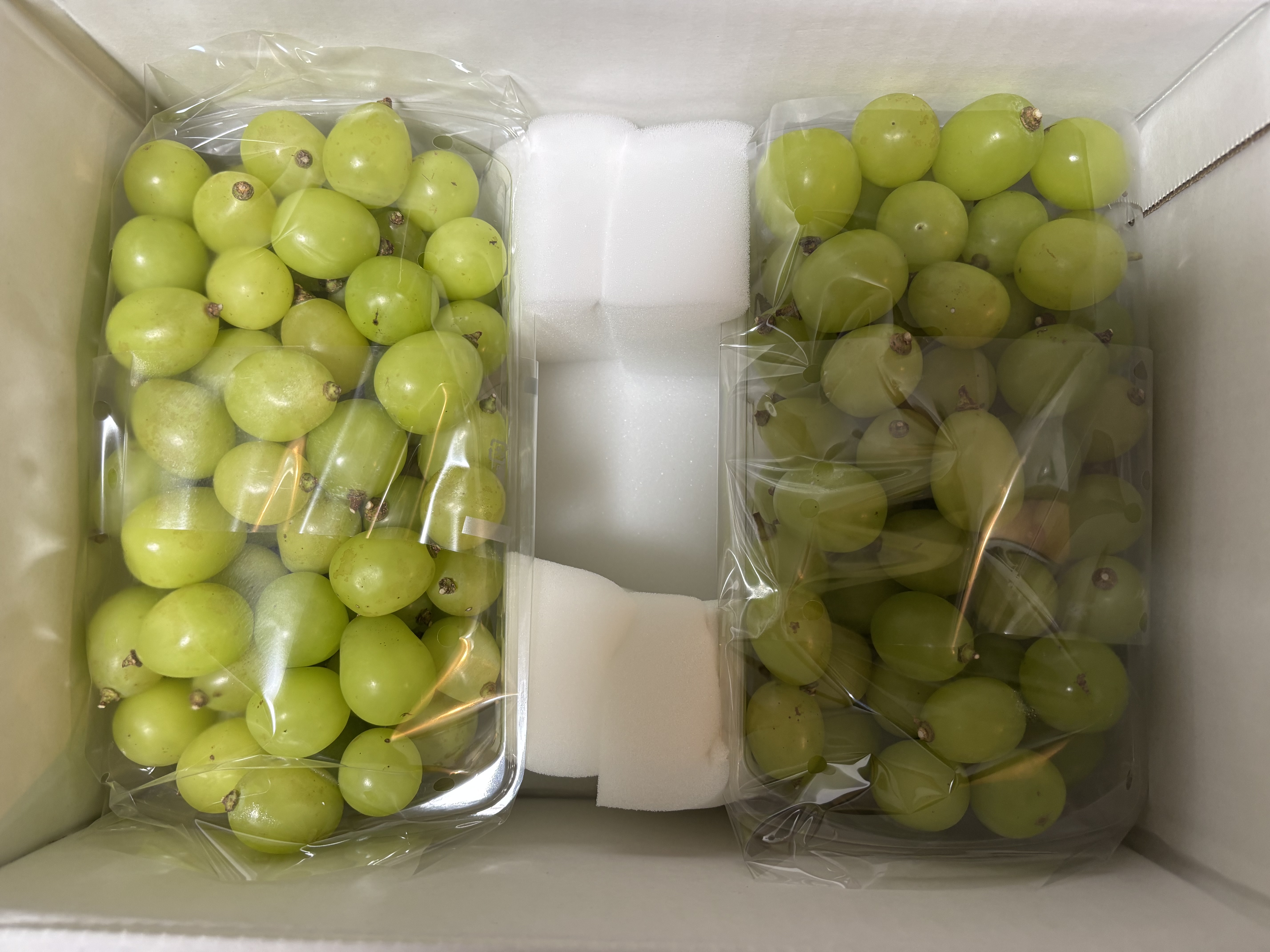 シャインマスカット　10株 花笑み農園 岡山の10月おすすめブドウ2種1kg【10/1～順次発送】2M-1L