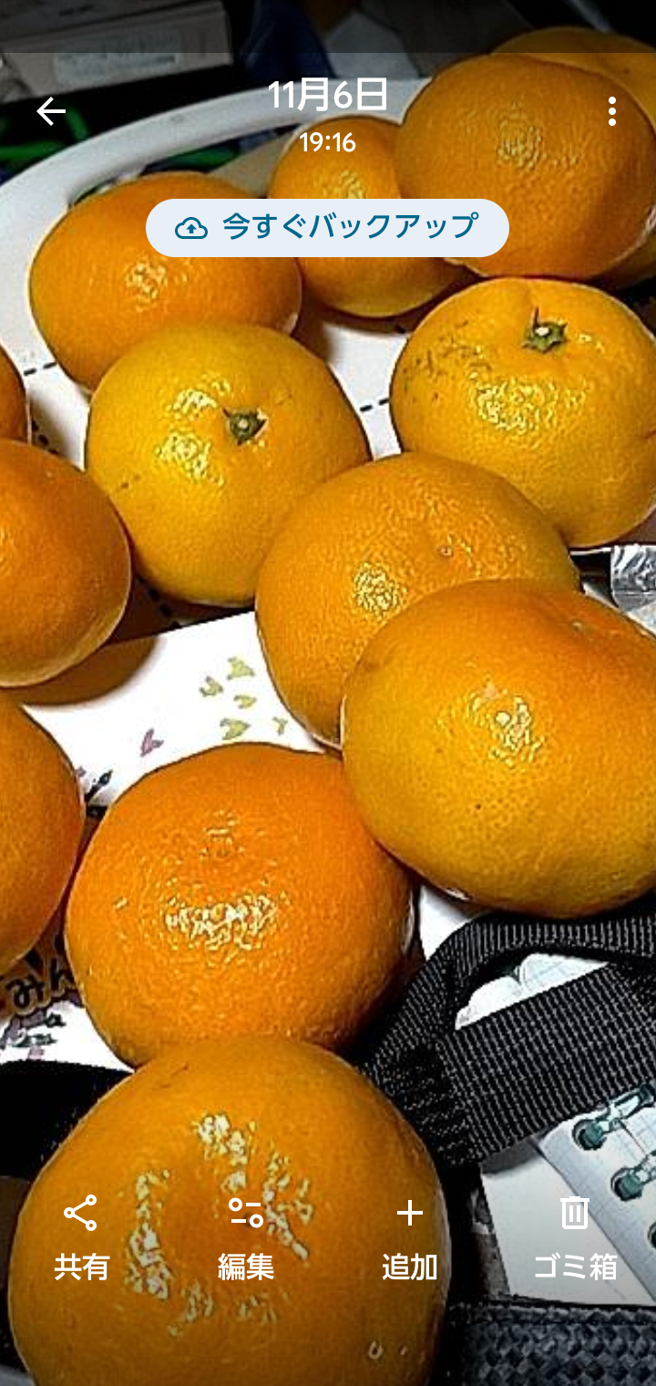 こだわりゆら早生みかん家庭用混合5kg ｜ 果物/温州みかん 産直アウル