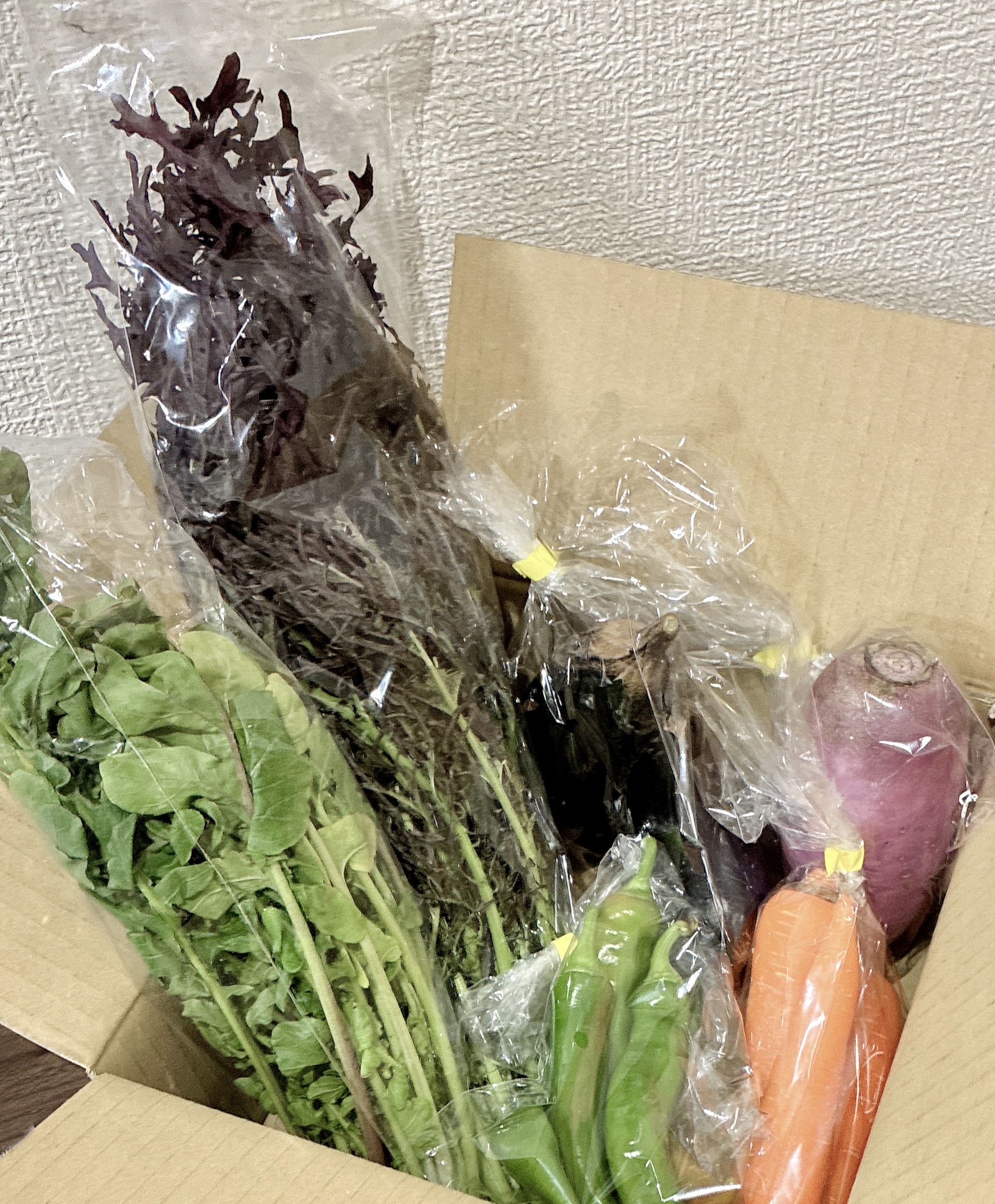 わけありにんじん。のぐちファーム安曇野産20キロ ｜ 野菜/人参 産直