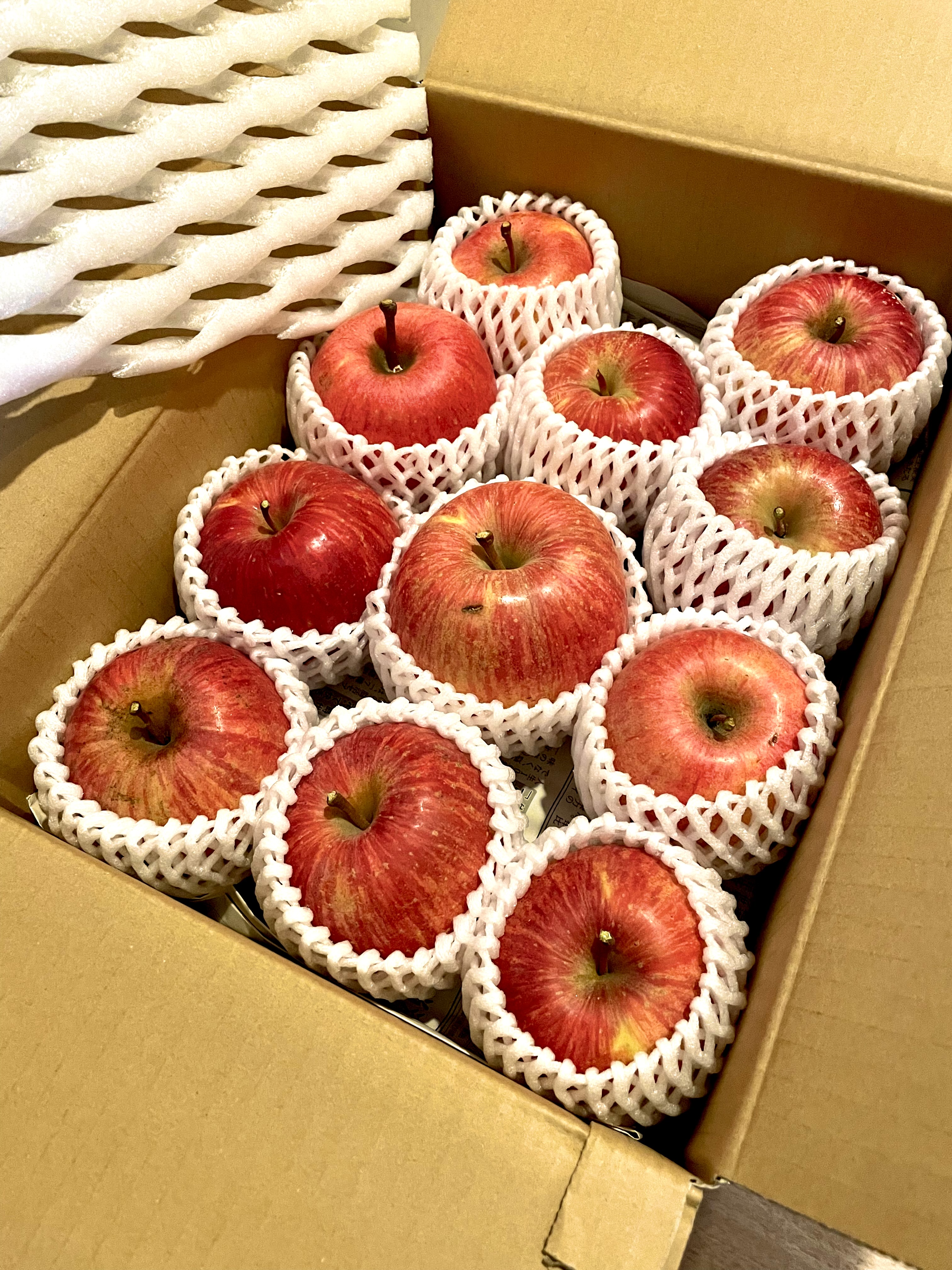 コンプ多数！ 紅白生写真1 ゴンちゃんさんが 青木さんちのくだもの の ふじ第二弾 についてのごち