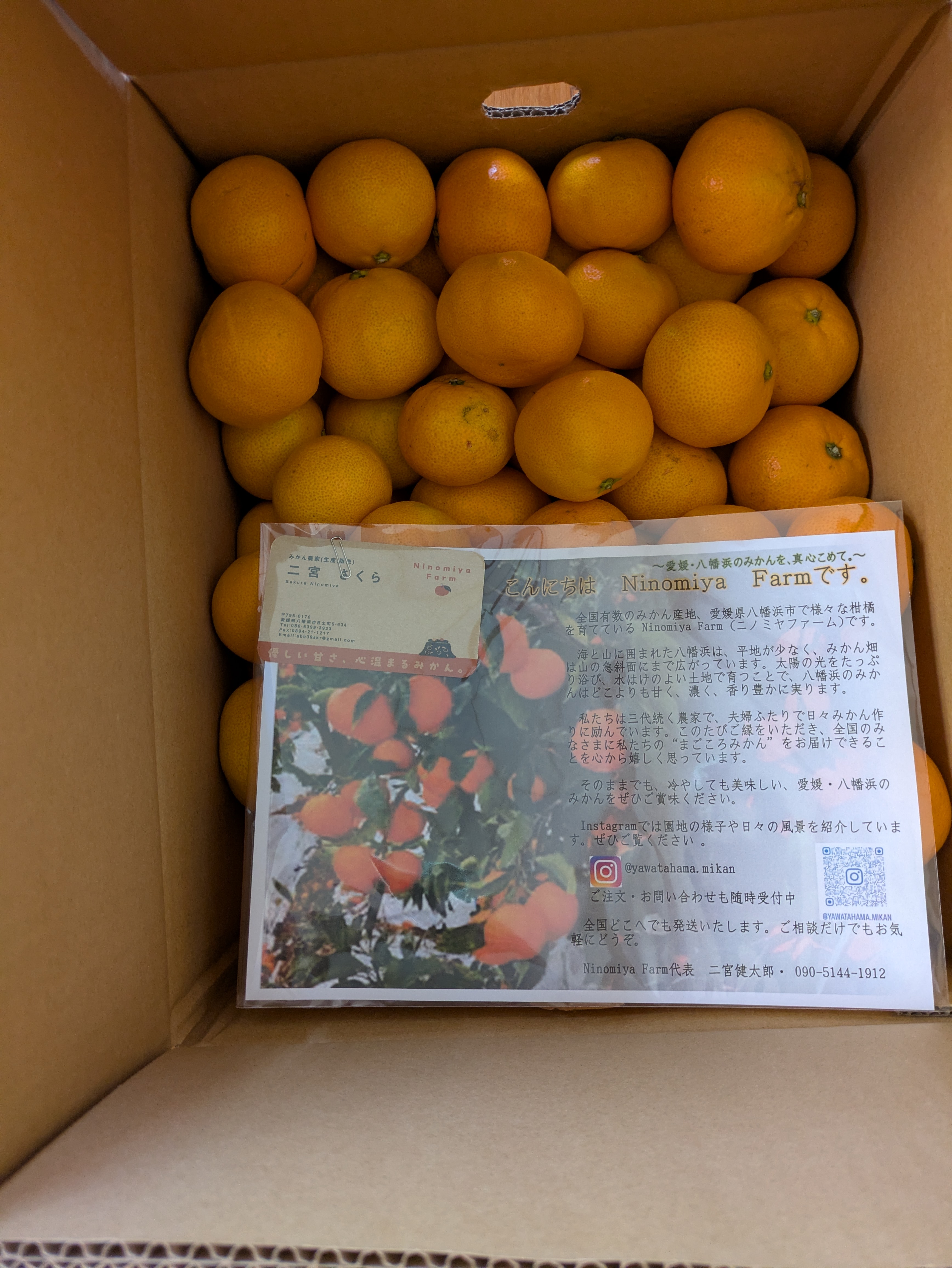 けろすけさんが Ninomiya Farm の 愛媛県八幡浜市産 早生みかん 10kg