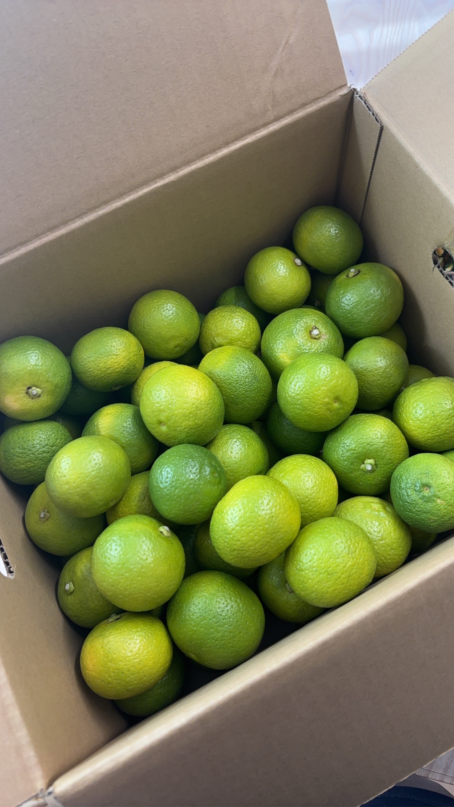 お徳用・訳あり品】大分県宇佐市産かぼす約10kg ｜ 果物/香酸柑橘