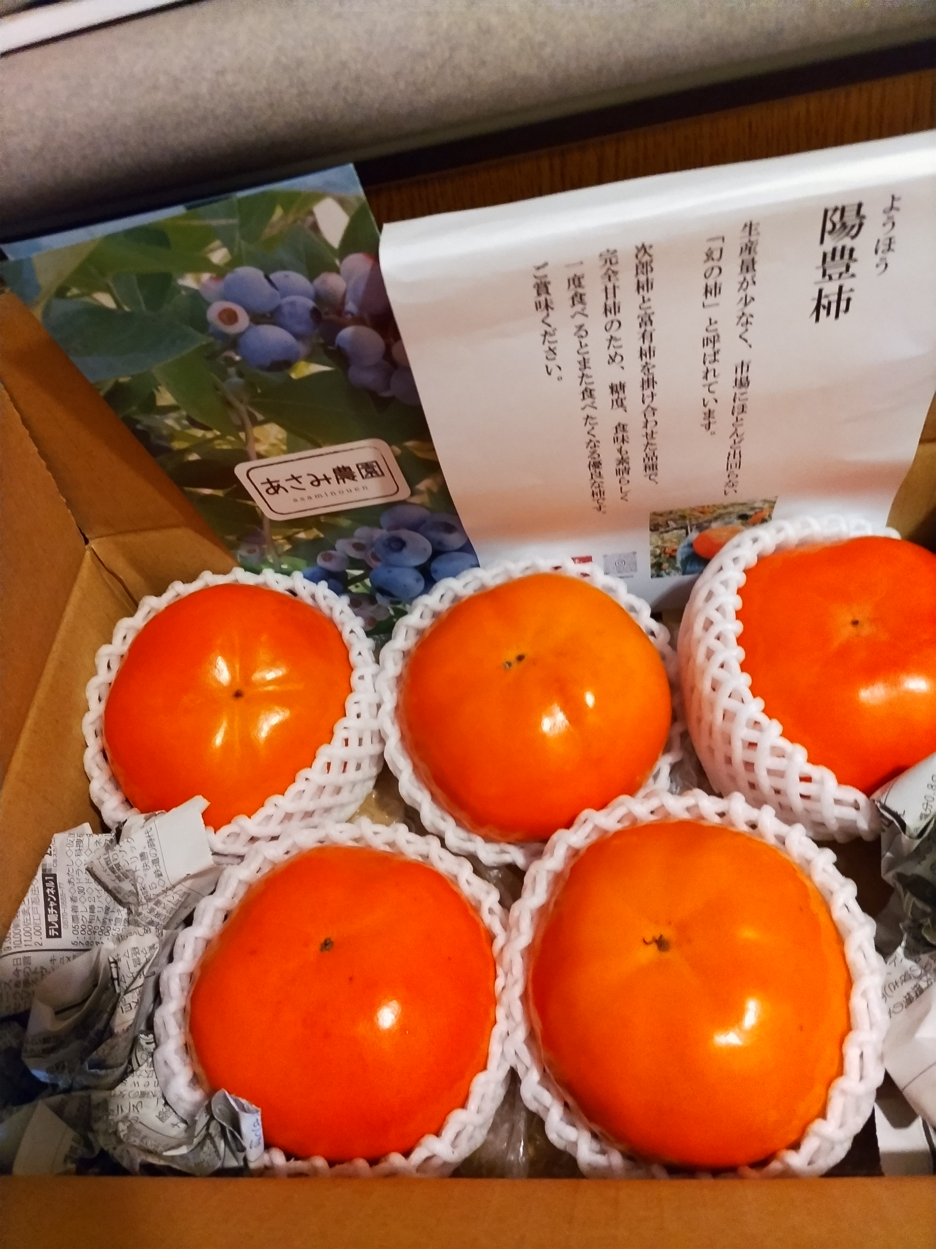 「常夏みかん 様」蓬莱柿 常夏みかん 様」蓬莱柿 常夏みかん 様」蓬莱柿