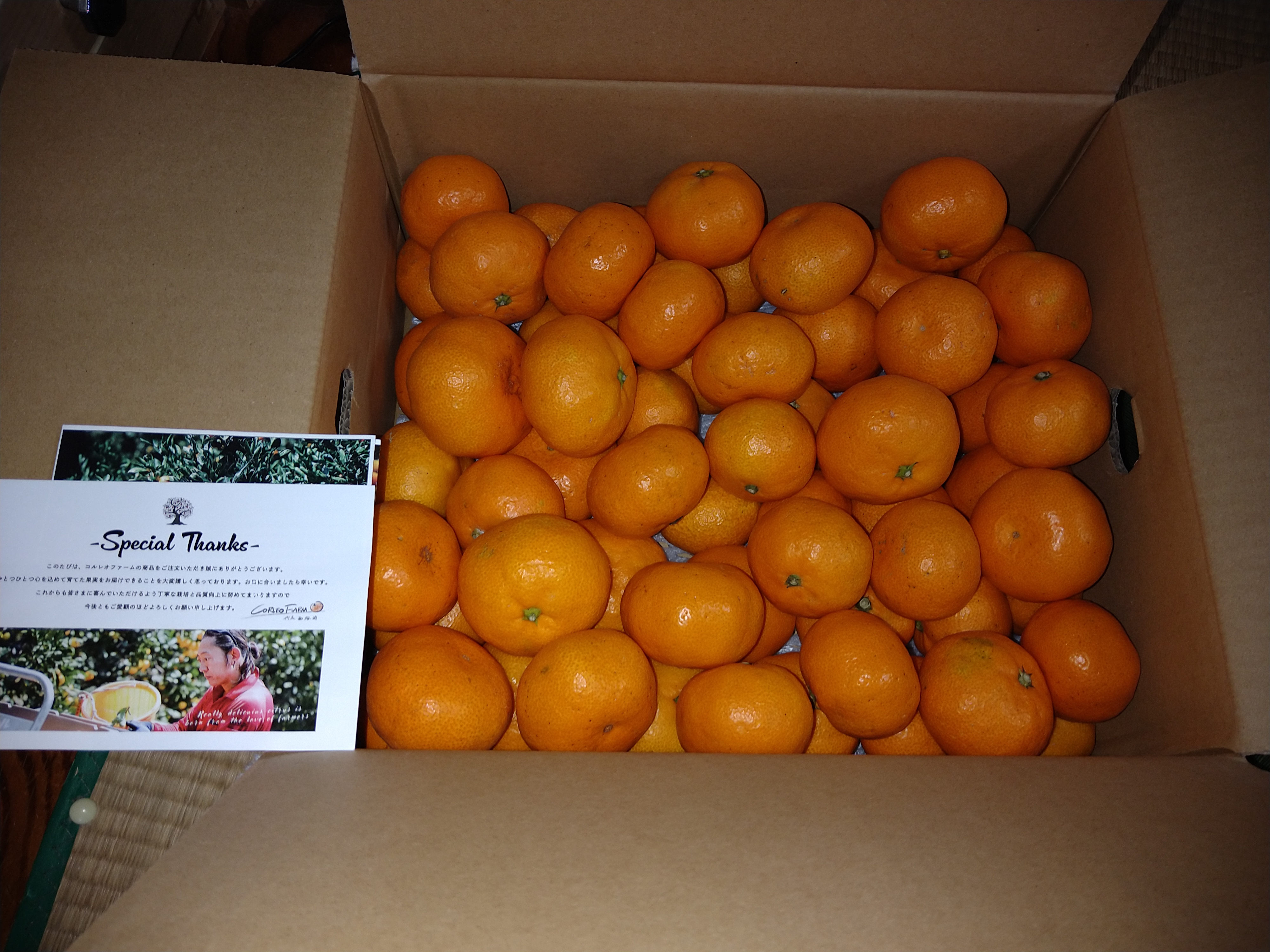 よーちゃんさんが CORLEO FARM の ☆送料無料☆【6周年限定】絶品早生