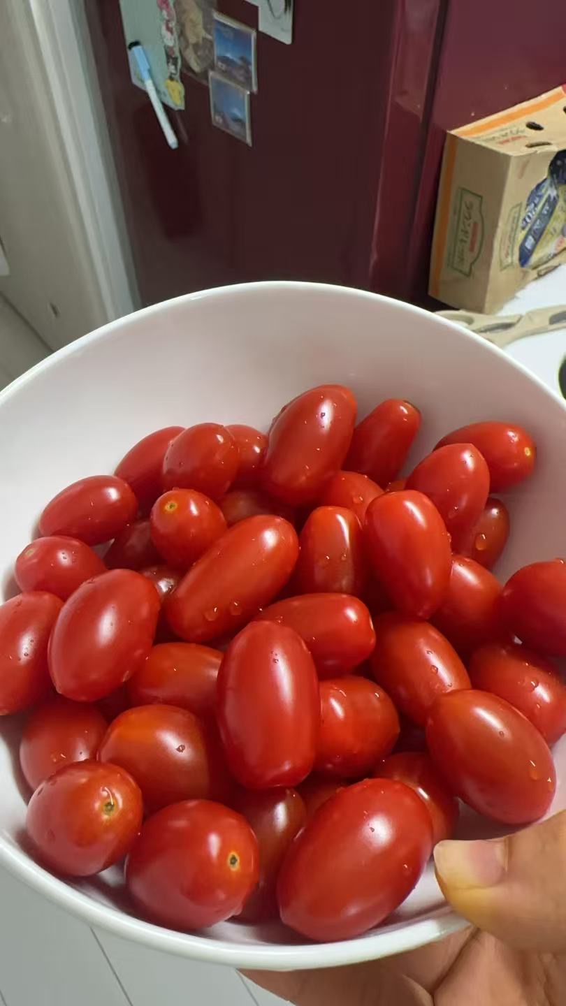 笑ちゃん(訳あり)トマト冷凍 10キロ（約2キロ✕5袋） | 野菜/トマト