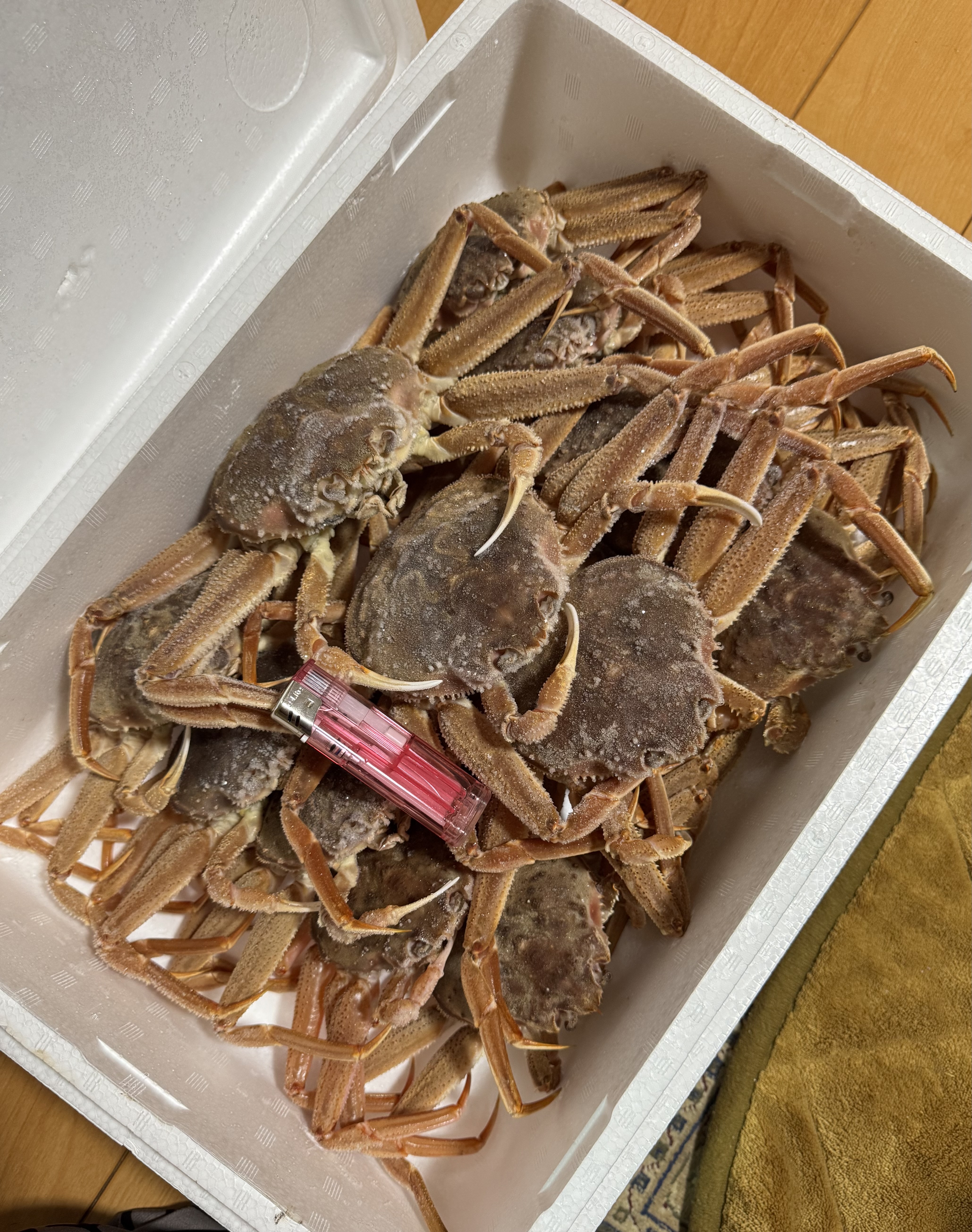 北海道産オオズワイガニ(メス)生冷凍2kg×2ケースセット ｜ 魚介類