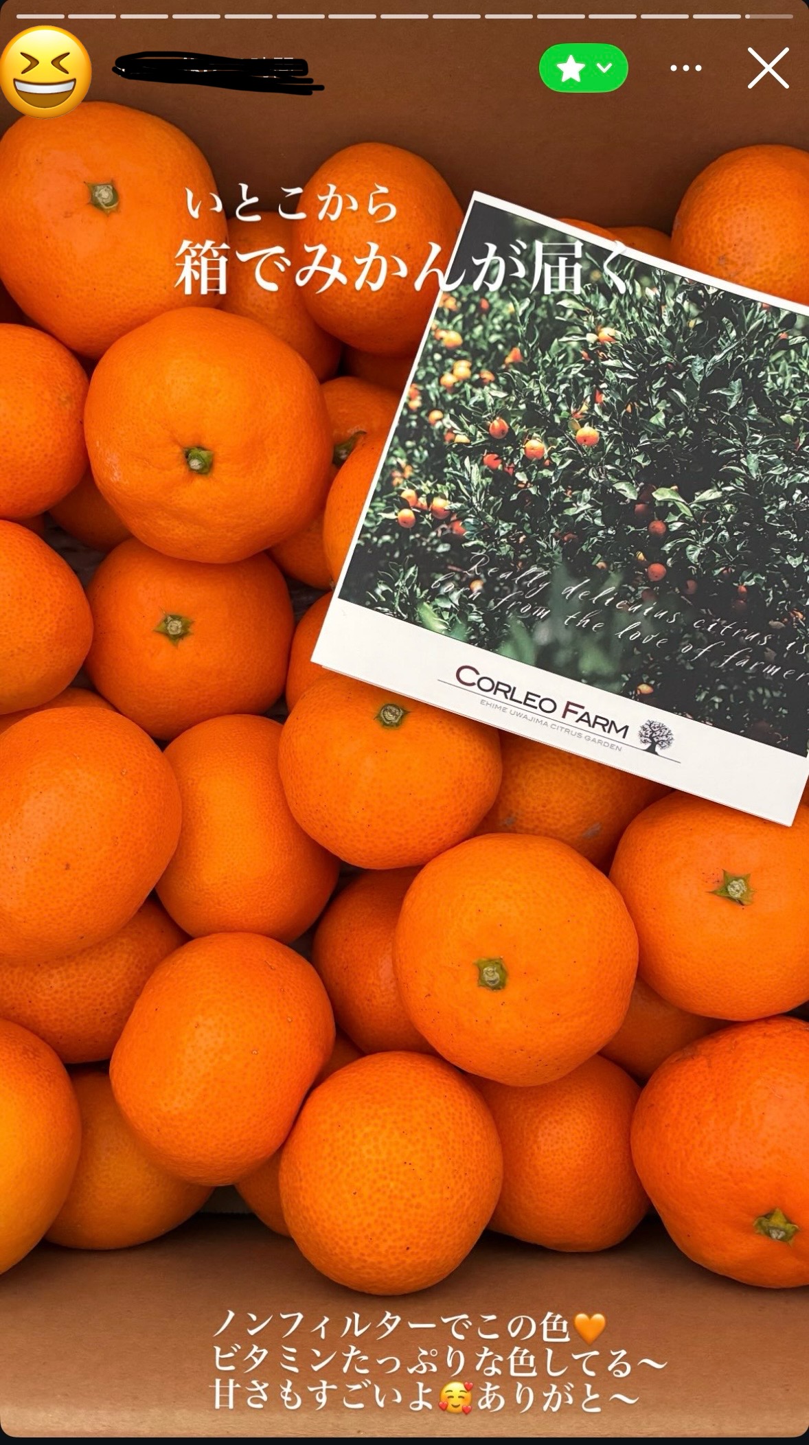 【CPC-LSF】みかん JAにしうわみつる 蜜るみかん 2.5kg箱｜ヤオコー予約＆ギフト