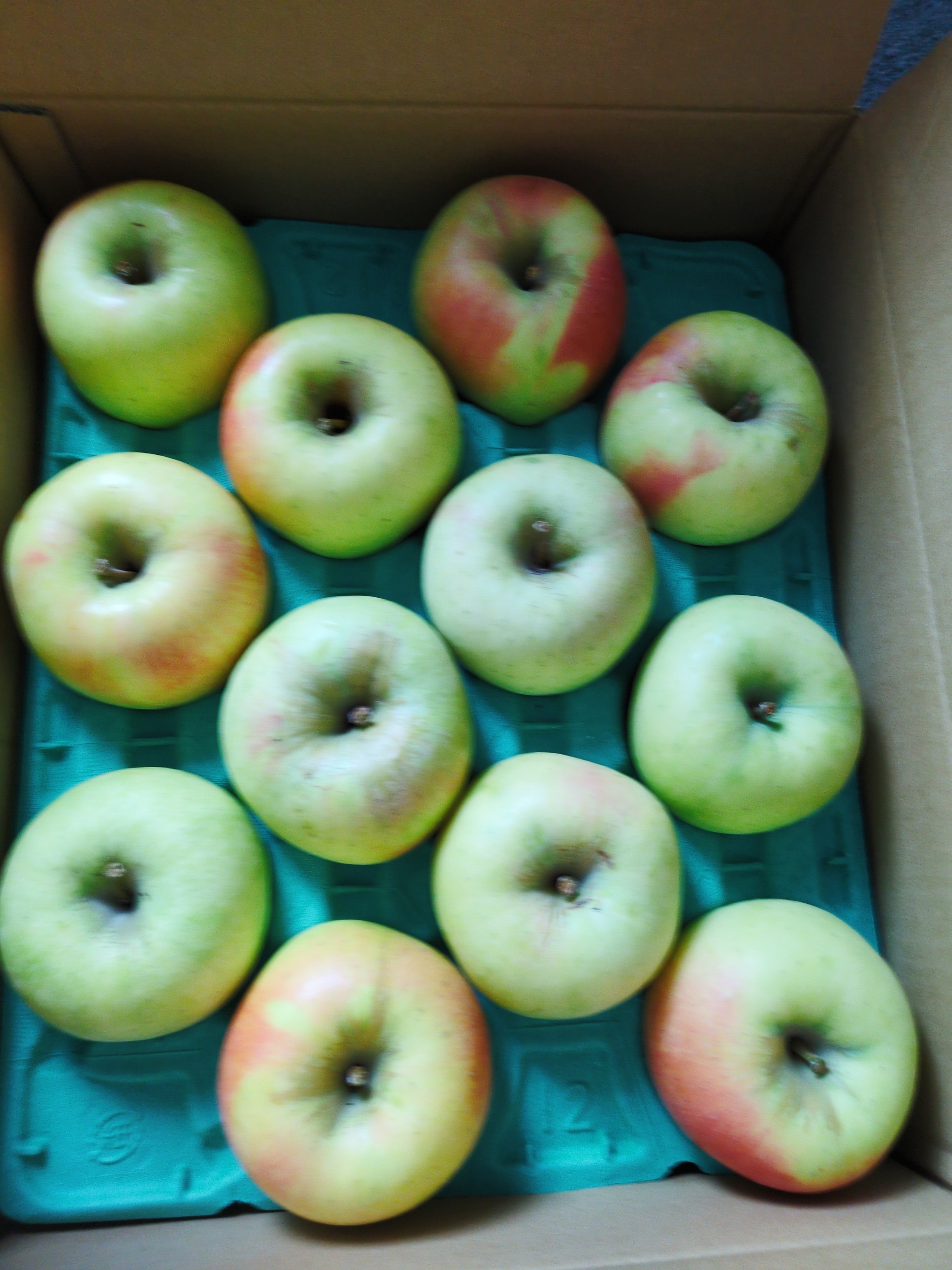 大人気！ 完熟ぐんま名月 約5キロ ｜ 果物/りんご 産直アウル 農家