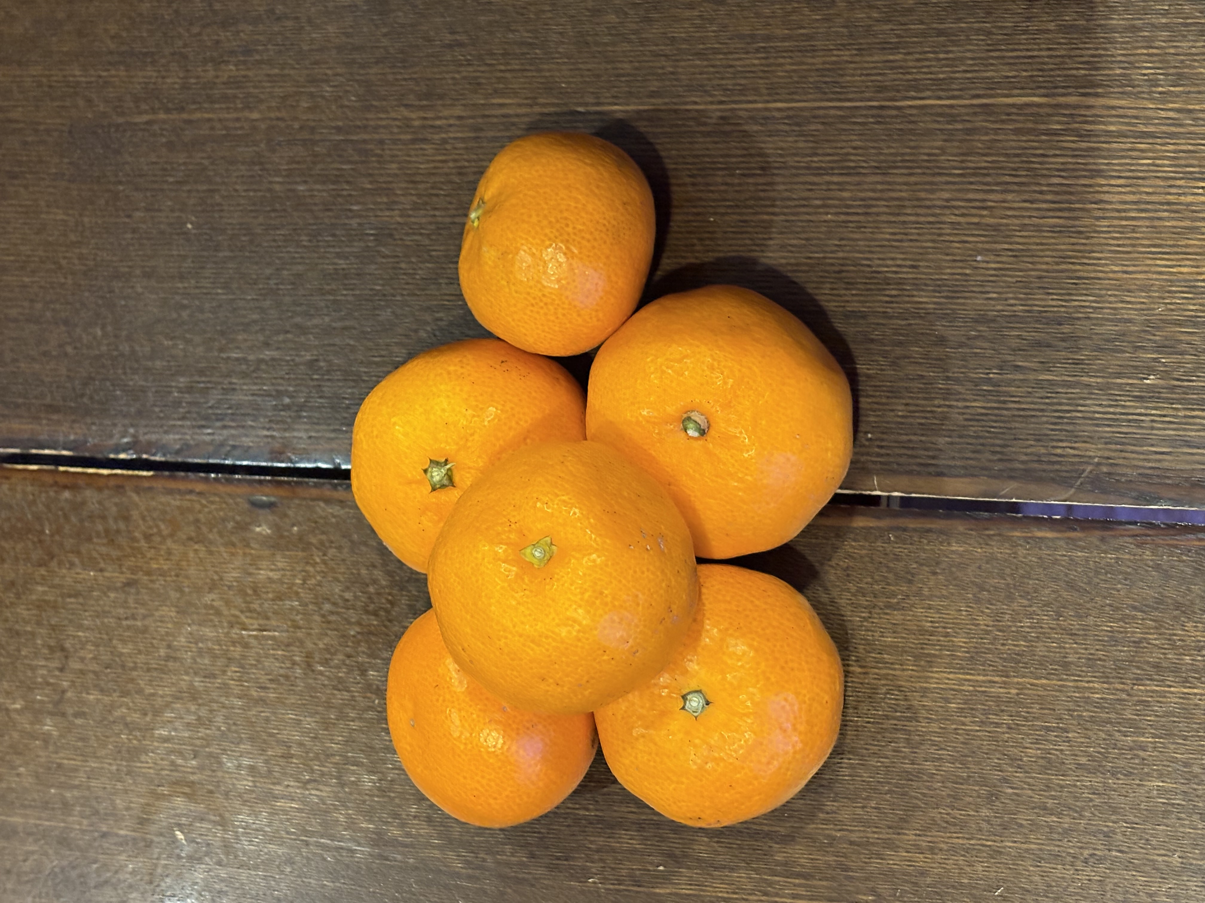 ちゃんふじさんが CORLEO FARM の ☆送料無料☆【6周年限定】絶品早生