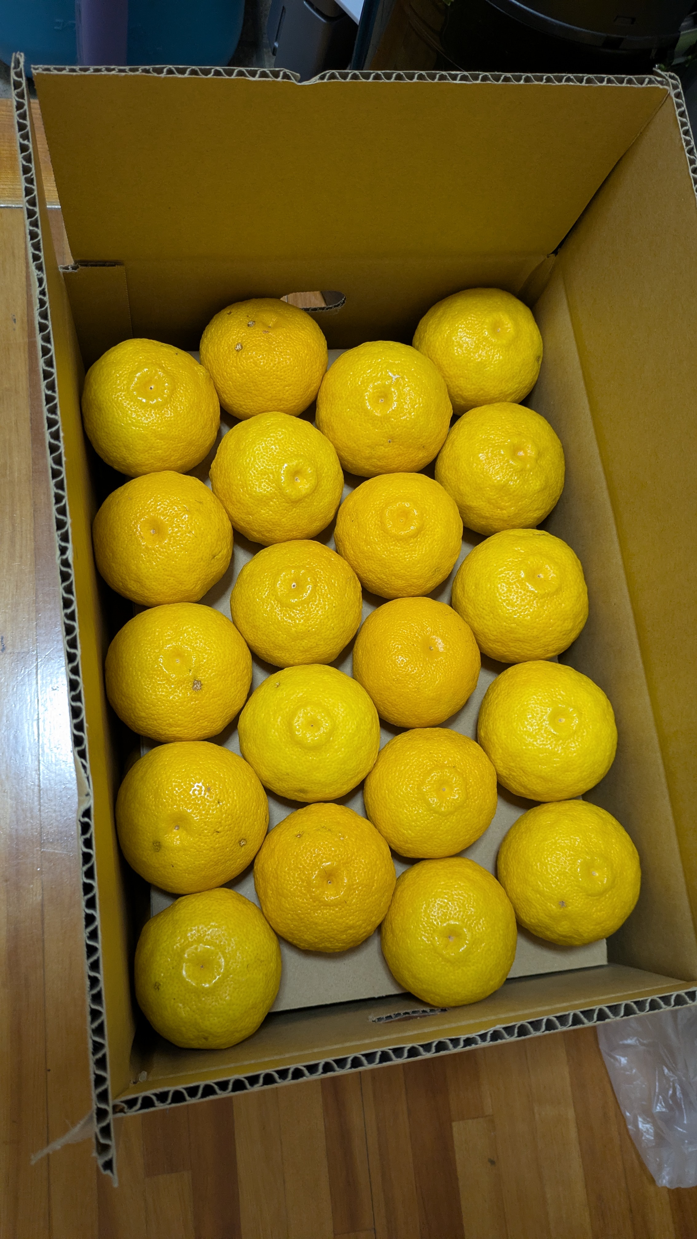 秋茜さんが やまなか農園 の しまんと 四万十 柚子 ＊訳あり(家庭用