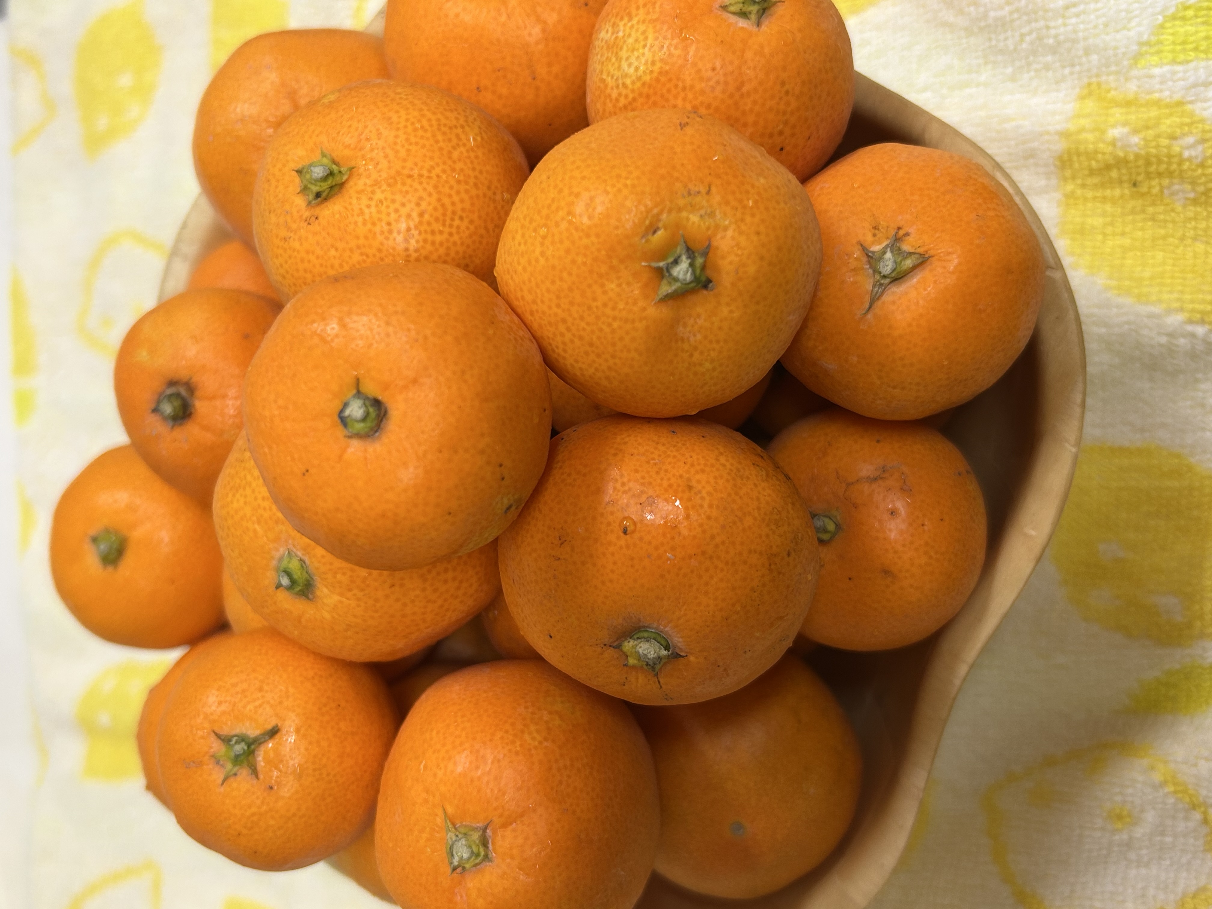 激安 店 訳あり 国産バレンシアオレンジ L LL mixサイズ 5kg 送料無料 